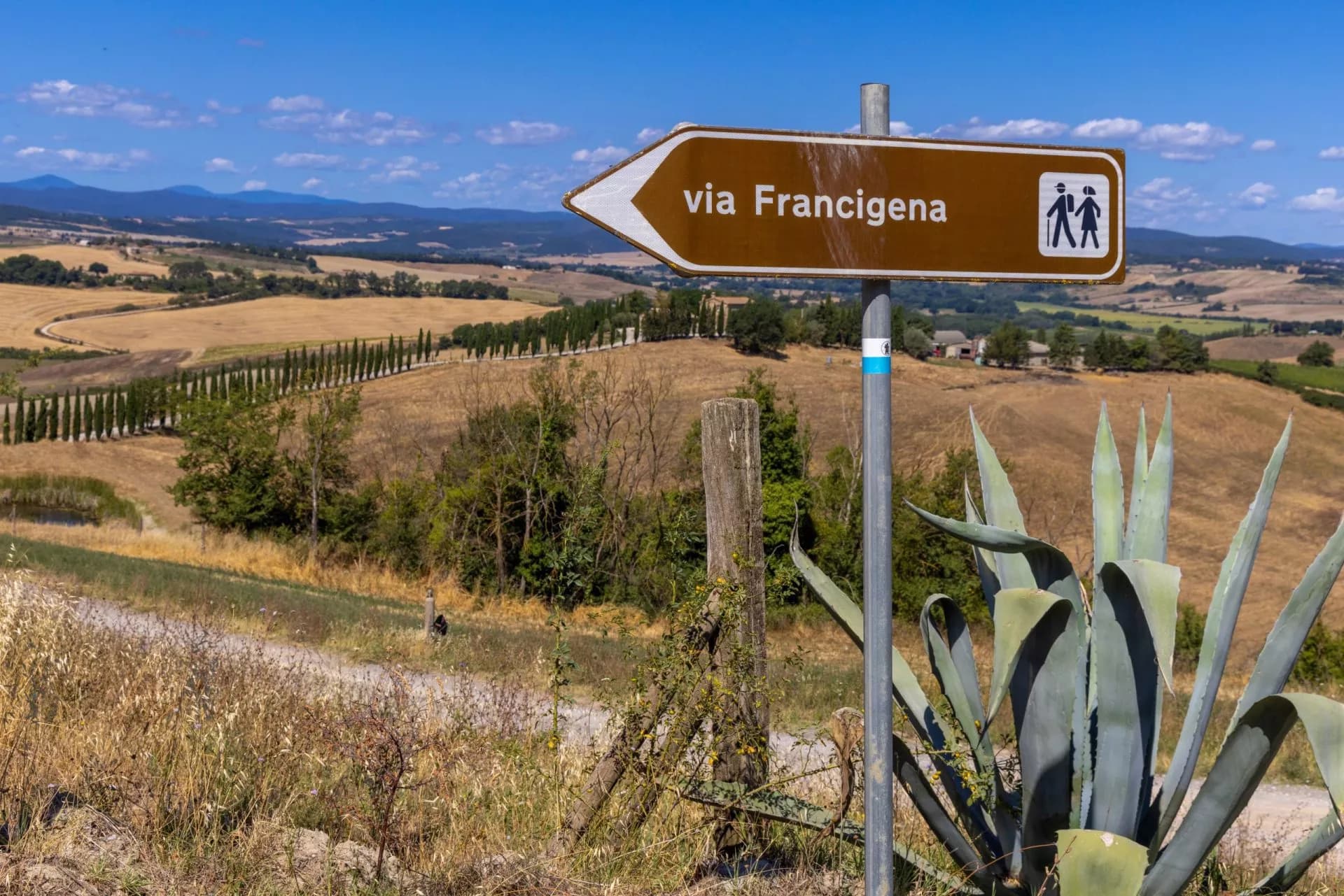 Via Francigena signpost overlooking dry, rolling hills and cypress trees under a blue sky.