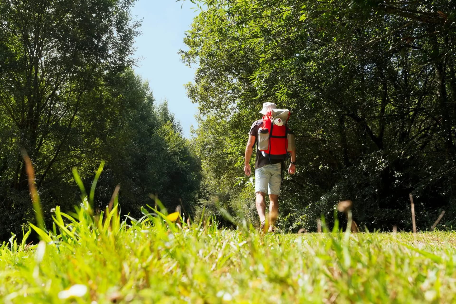 Way of st james to Compostela , pilgrims in  english way in Mino Village