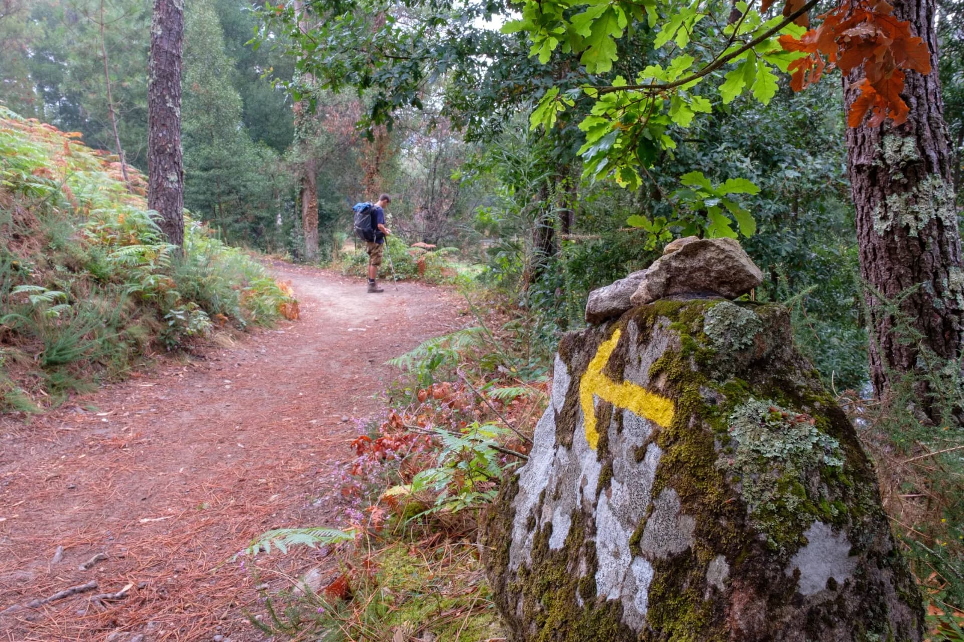 Gelber Pfeil und Pilger auf dem Jakobsweg (von Porto nach Santiago de Compostela)