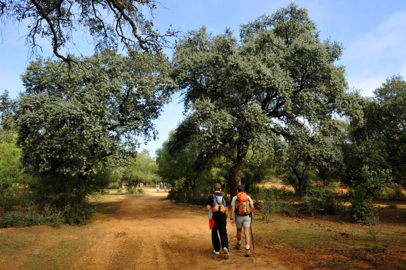 Senderismo, Vía de la Plata