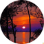 Sunset over water framed by tree silhouettes