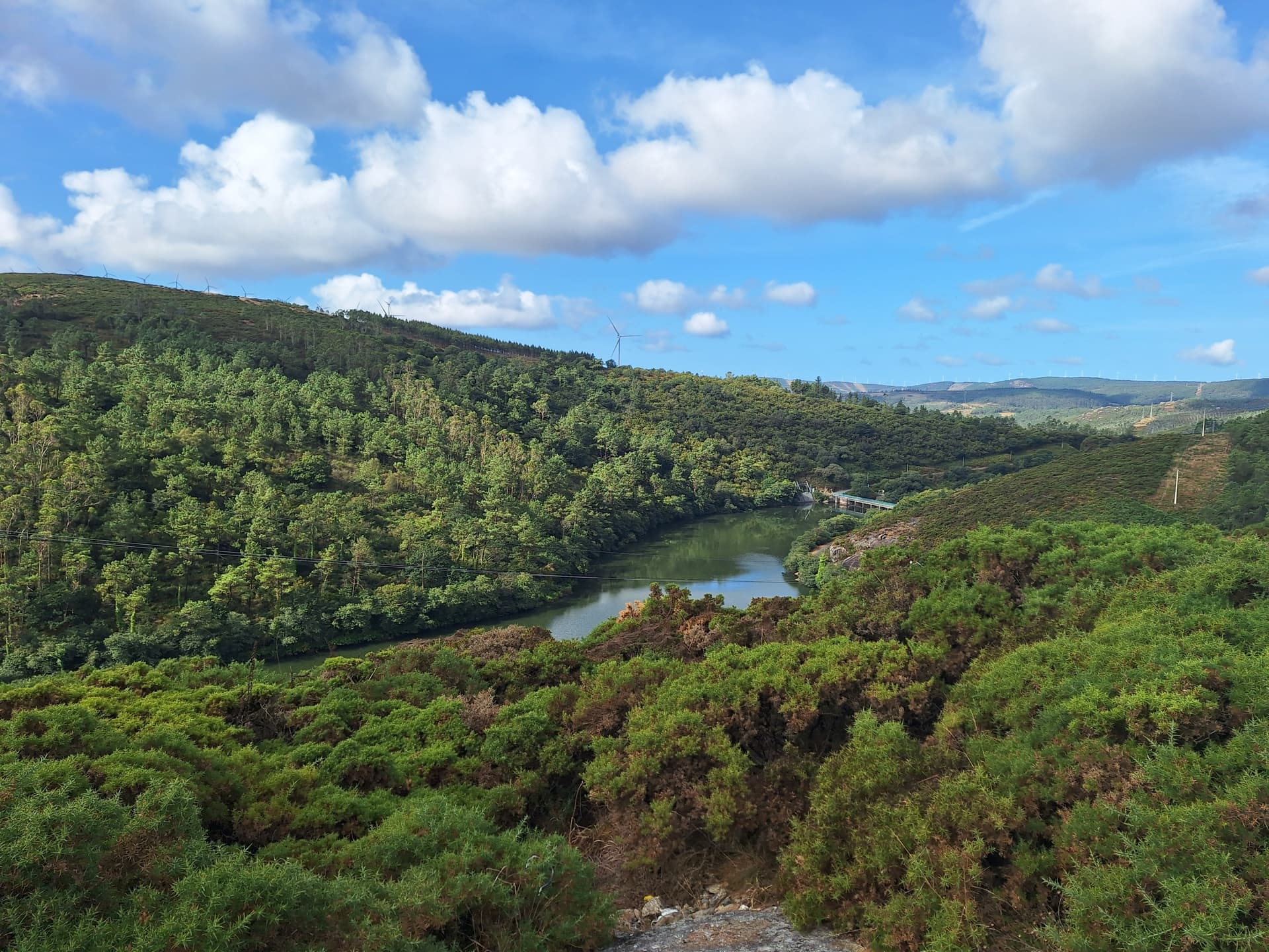 Green reservoir surrounded by wooded hills under a blue sky with white clouds
