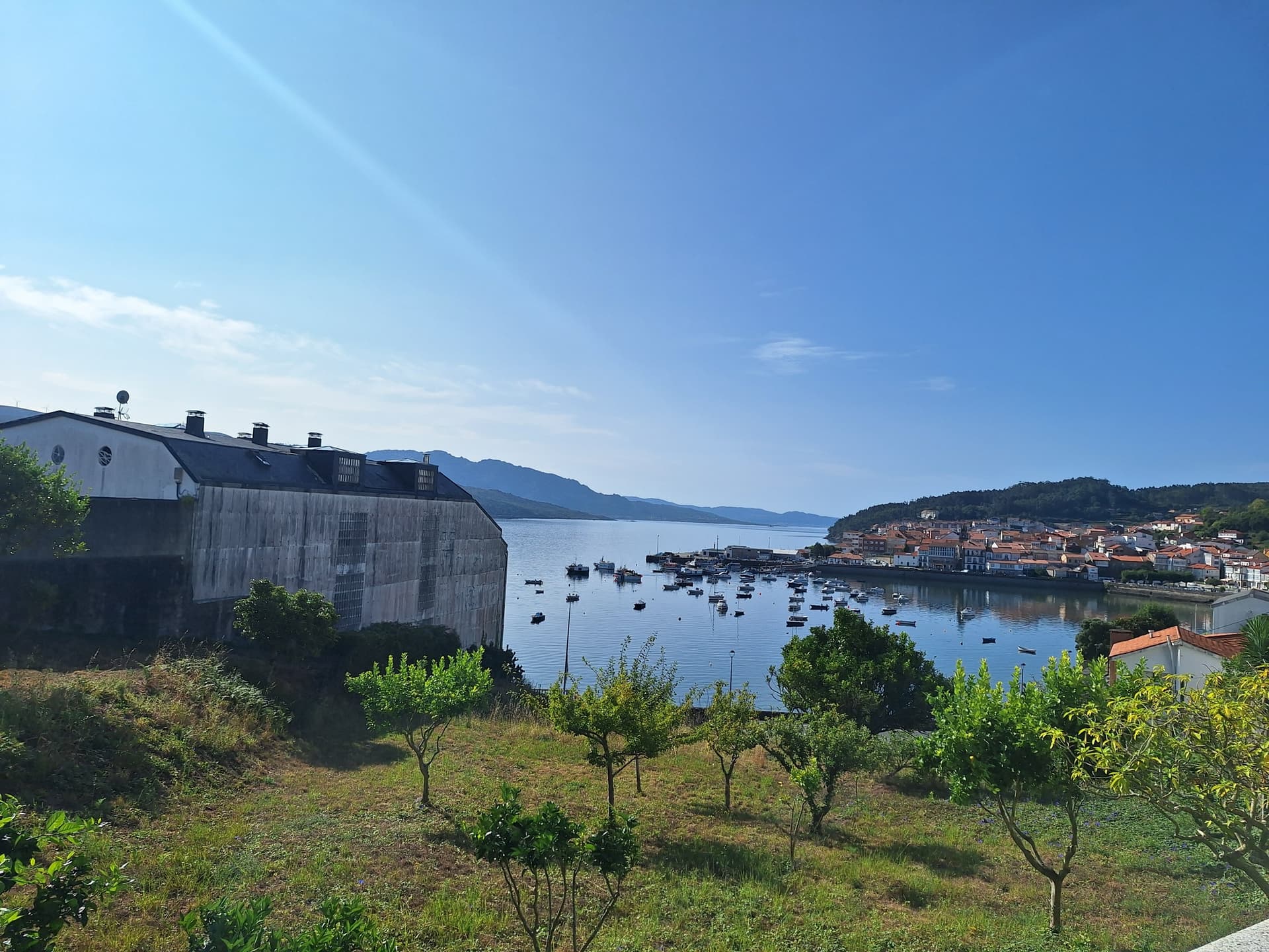 Coastal bay view with boats in harbor, buildings, and green hills under clear blue sky