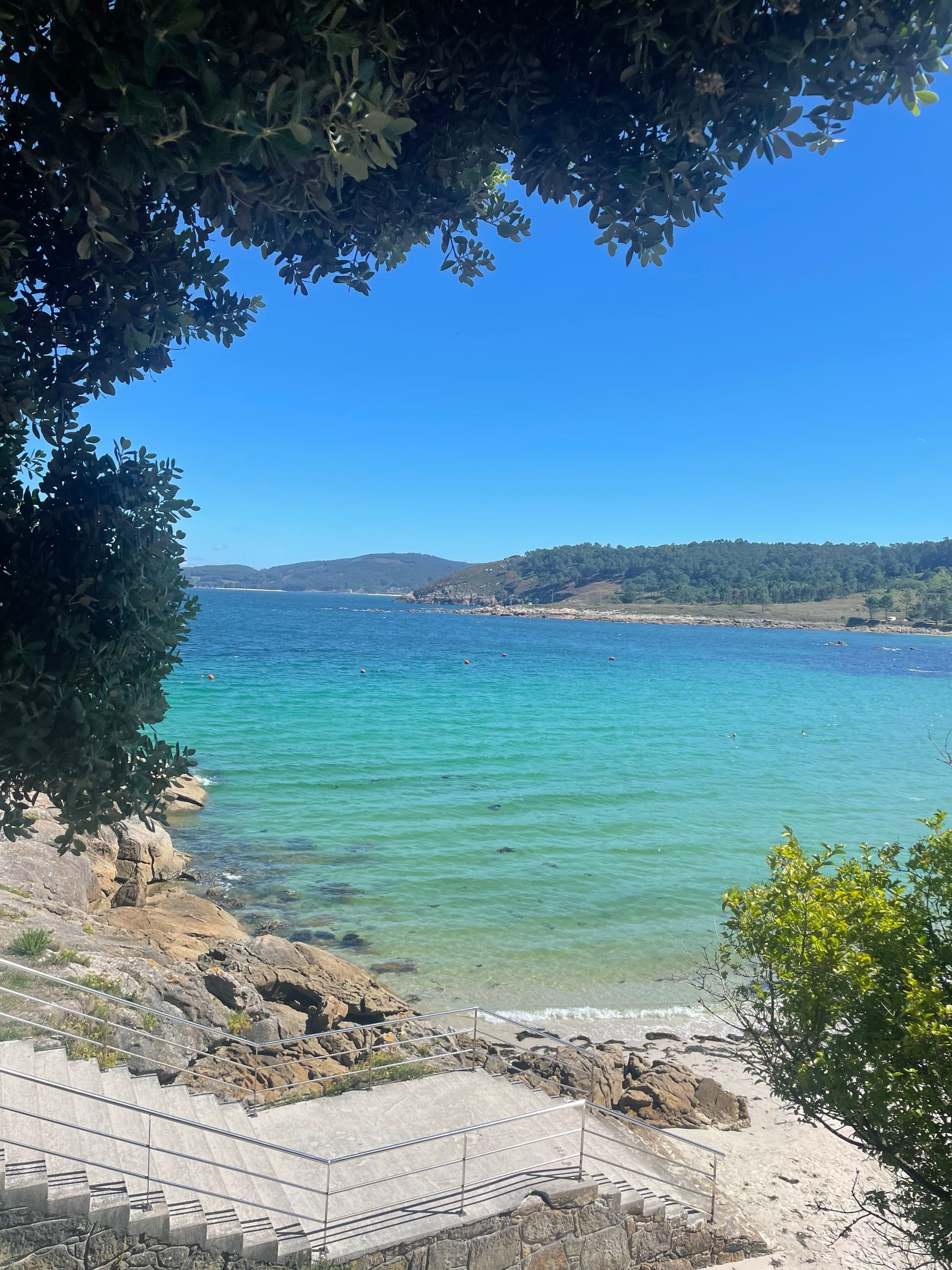 Turquoise coastal cove viewed from above through tree branches with stone steps leading to the beach