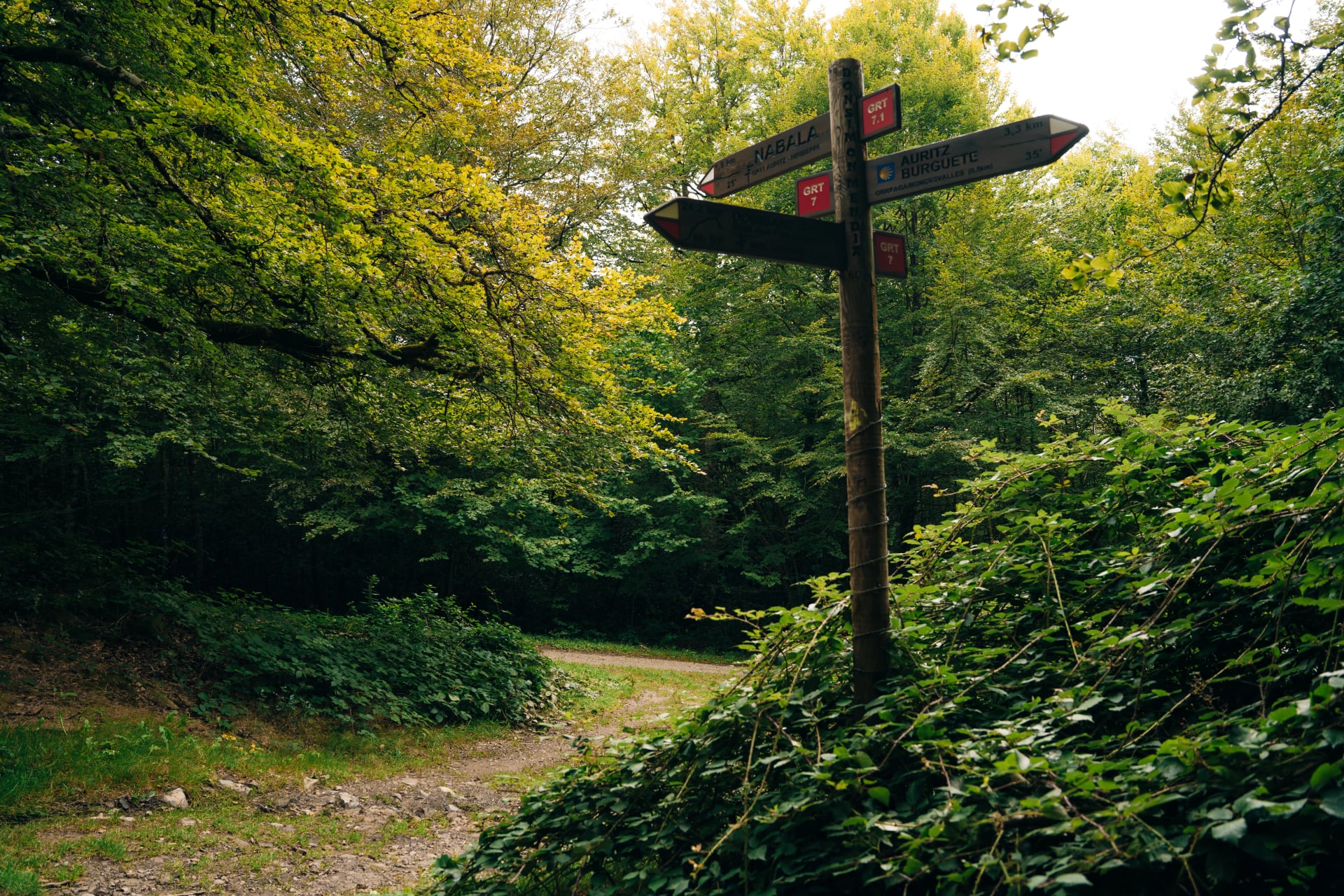 Wegwijzer in de Pyreneeën op weg naar Santiago, Spanje