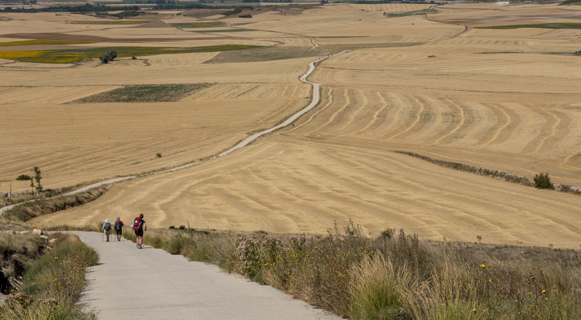 Estrada sem fim perto de Castrojeriz no Camino de Santiago