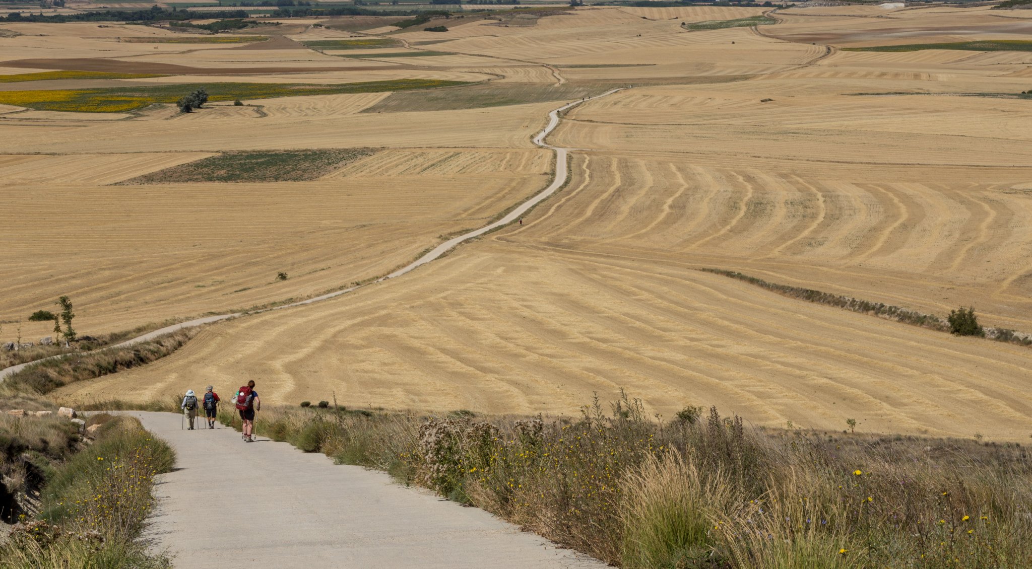 Nekonečná cesta neďaleko Castrojeriz na Camino de Santiago