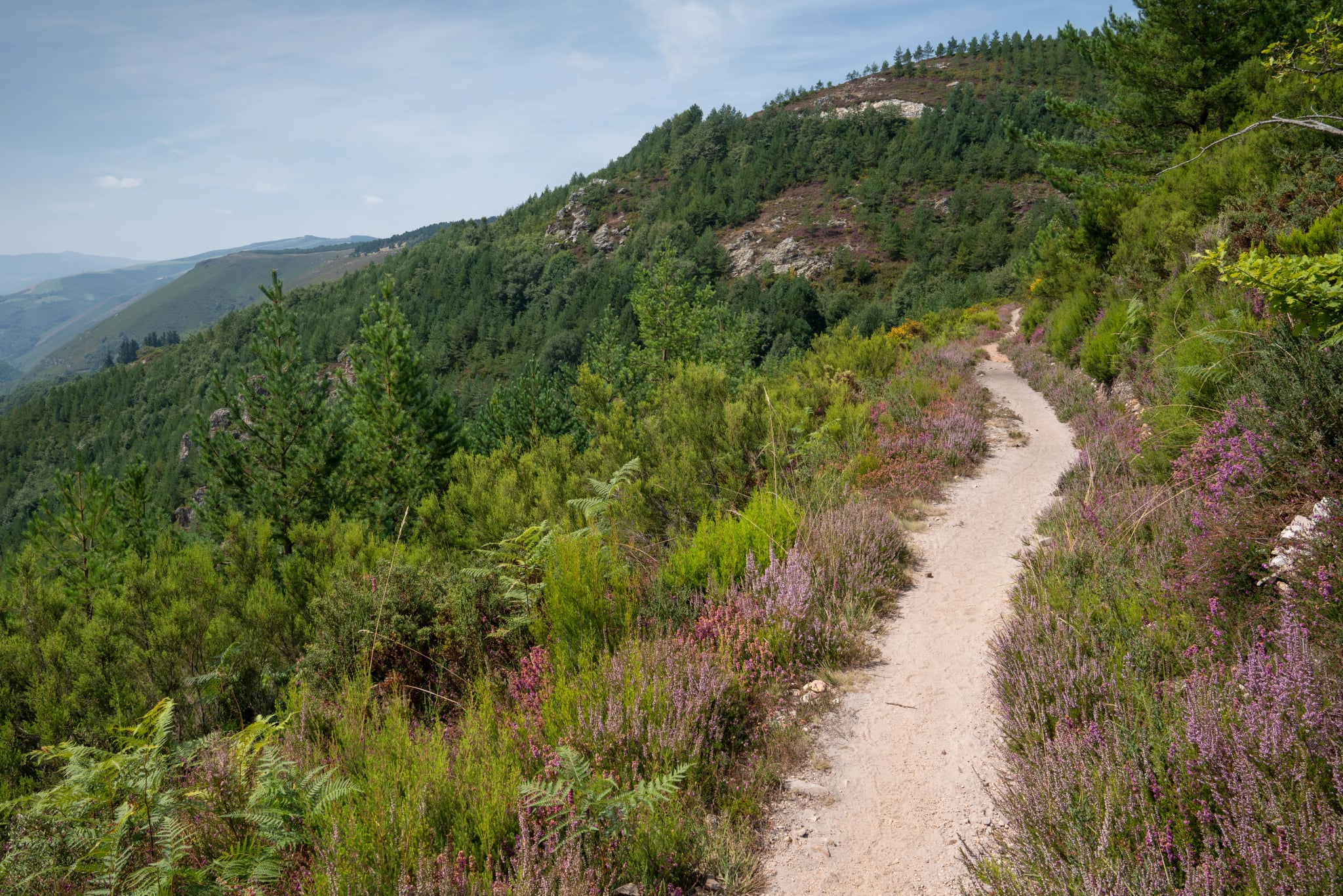 Camino Primitivo, Asturias, España