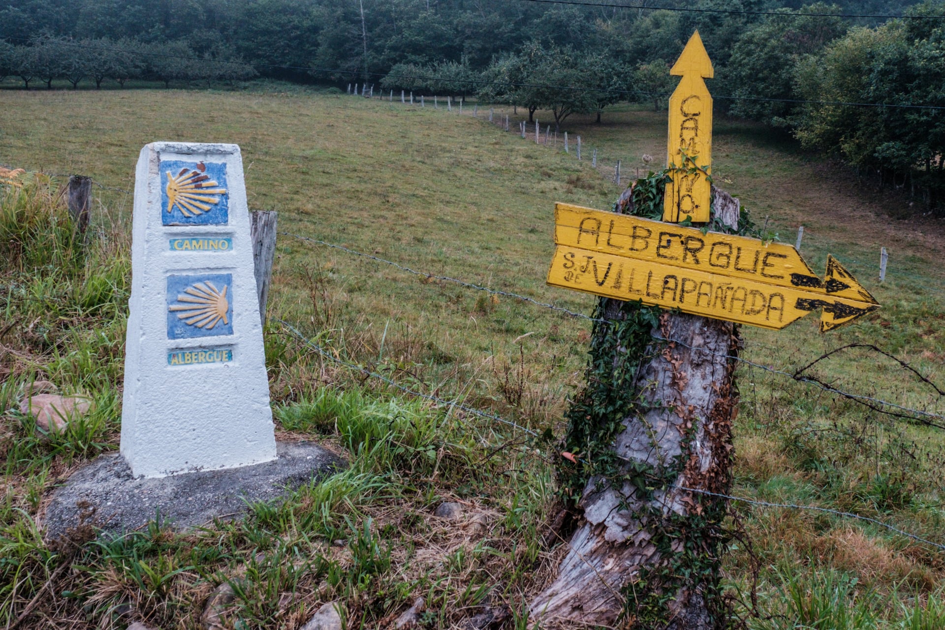 Wegzeichen am Jakobsweg in Spanien - Camino Primitivo