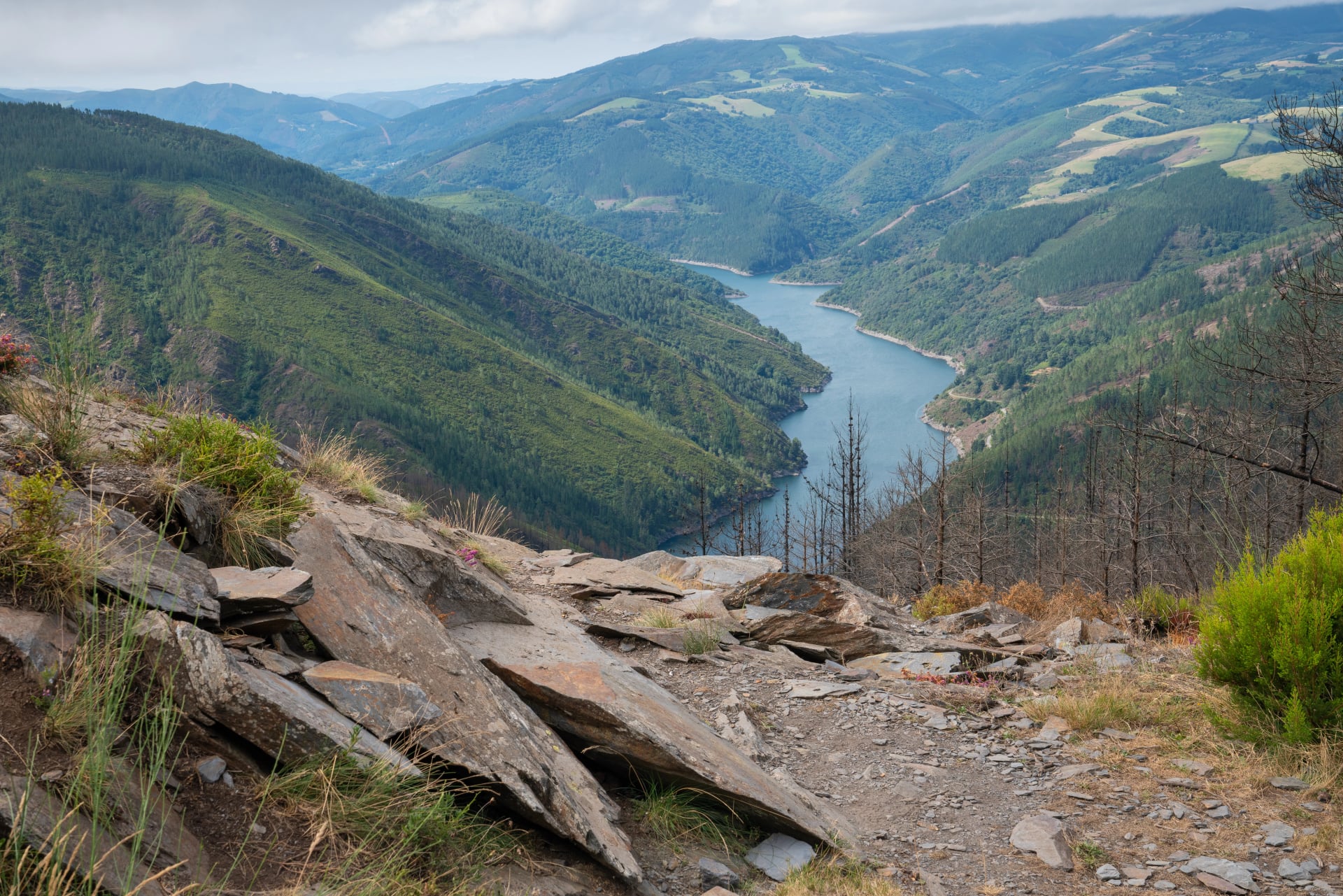 Sentier du Camino de Santiago, Asturias, Espagne
