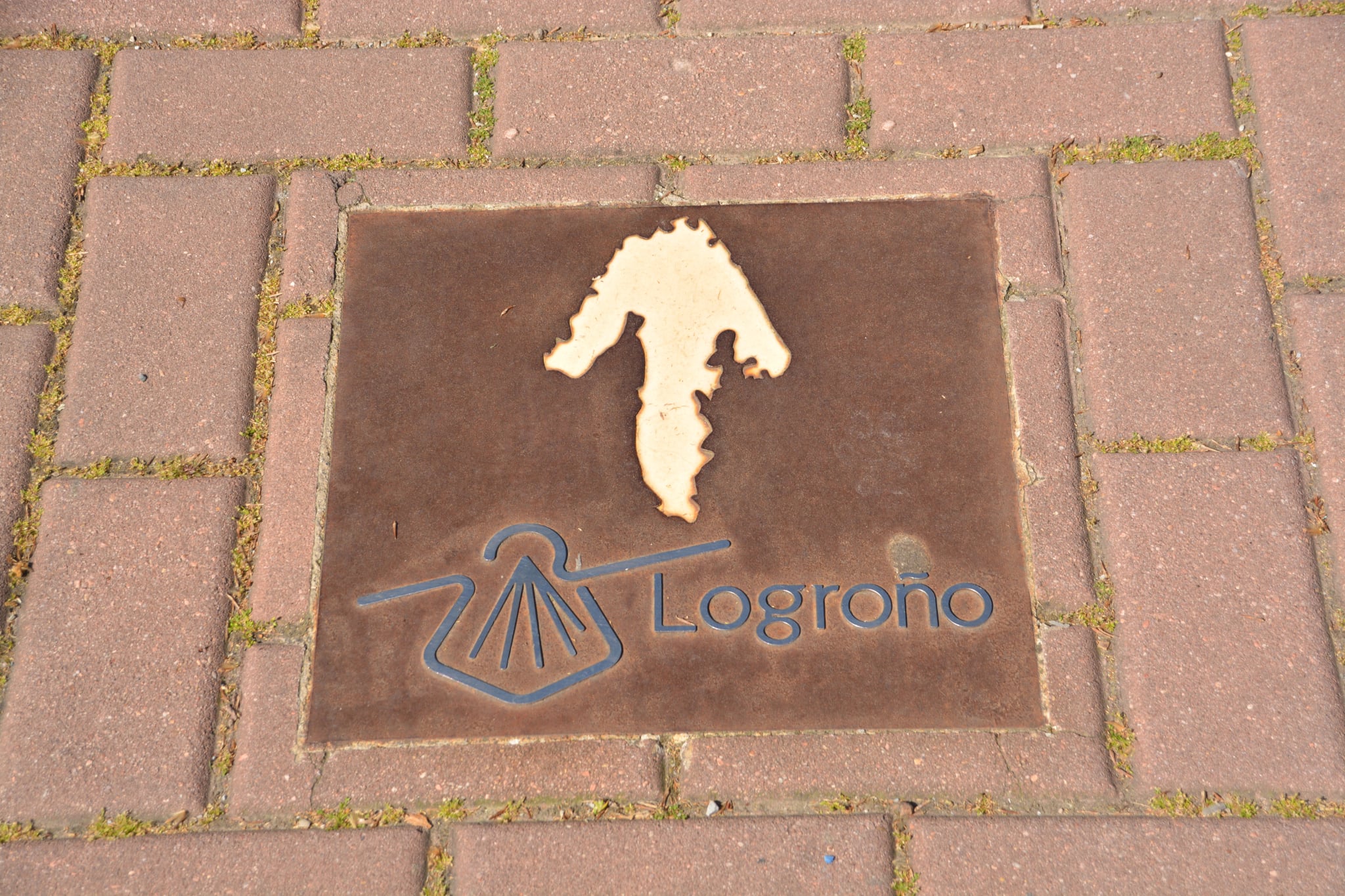 indicar en el Camino de Santiago