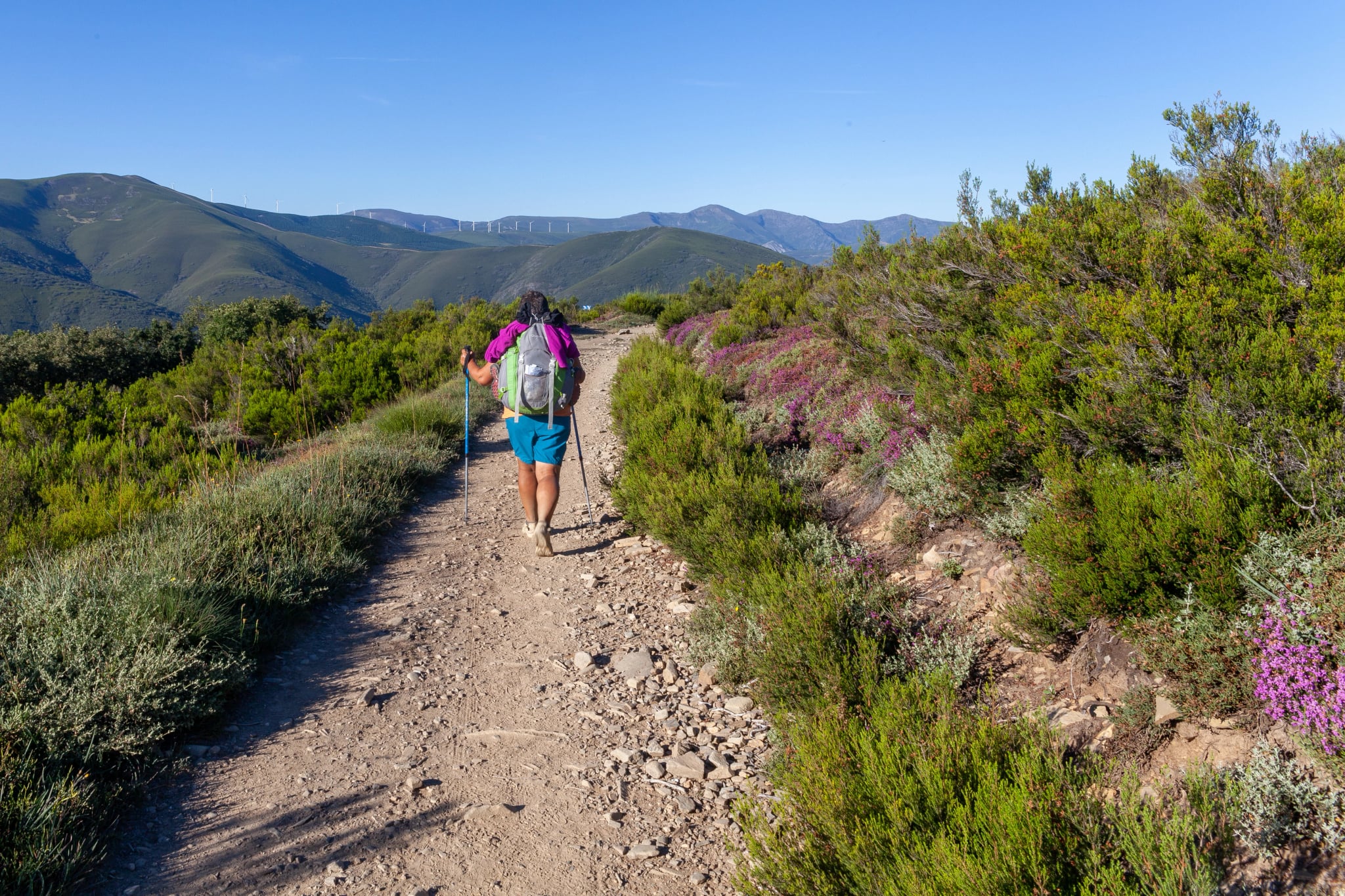 Camino de Santiago Spanje