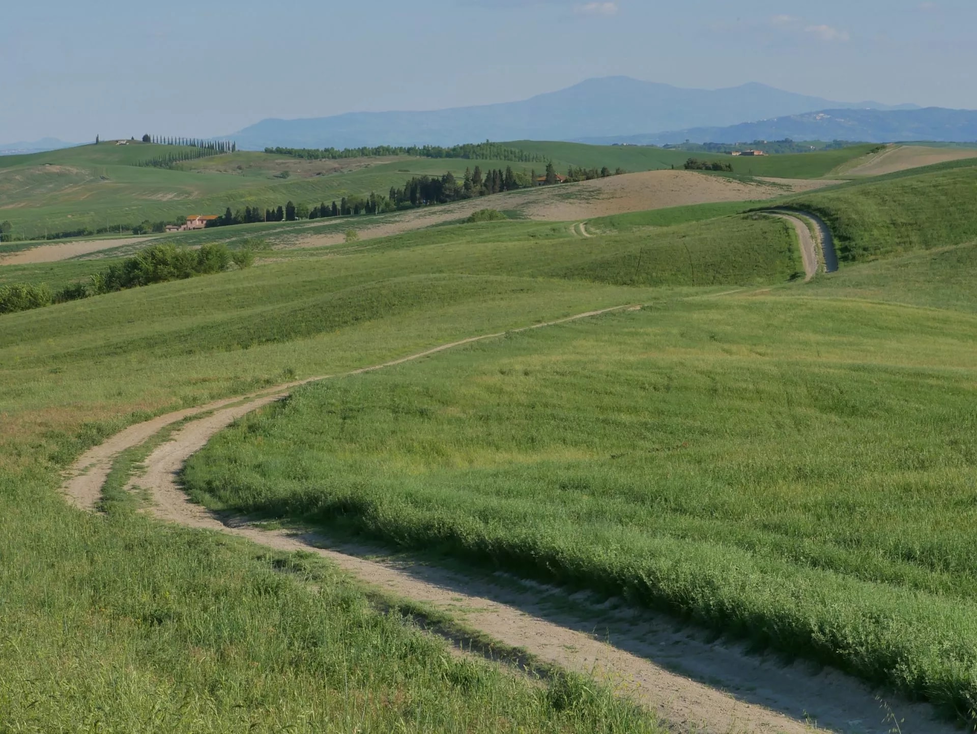 Winding dirt road through rolling green hills of Montagnola Senese under a hazy sky.