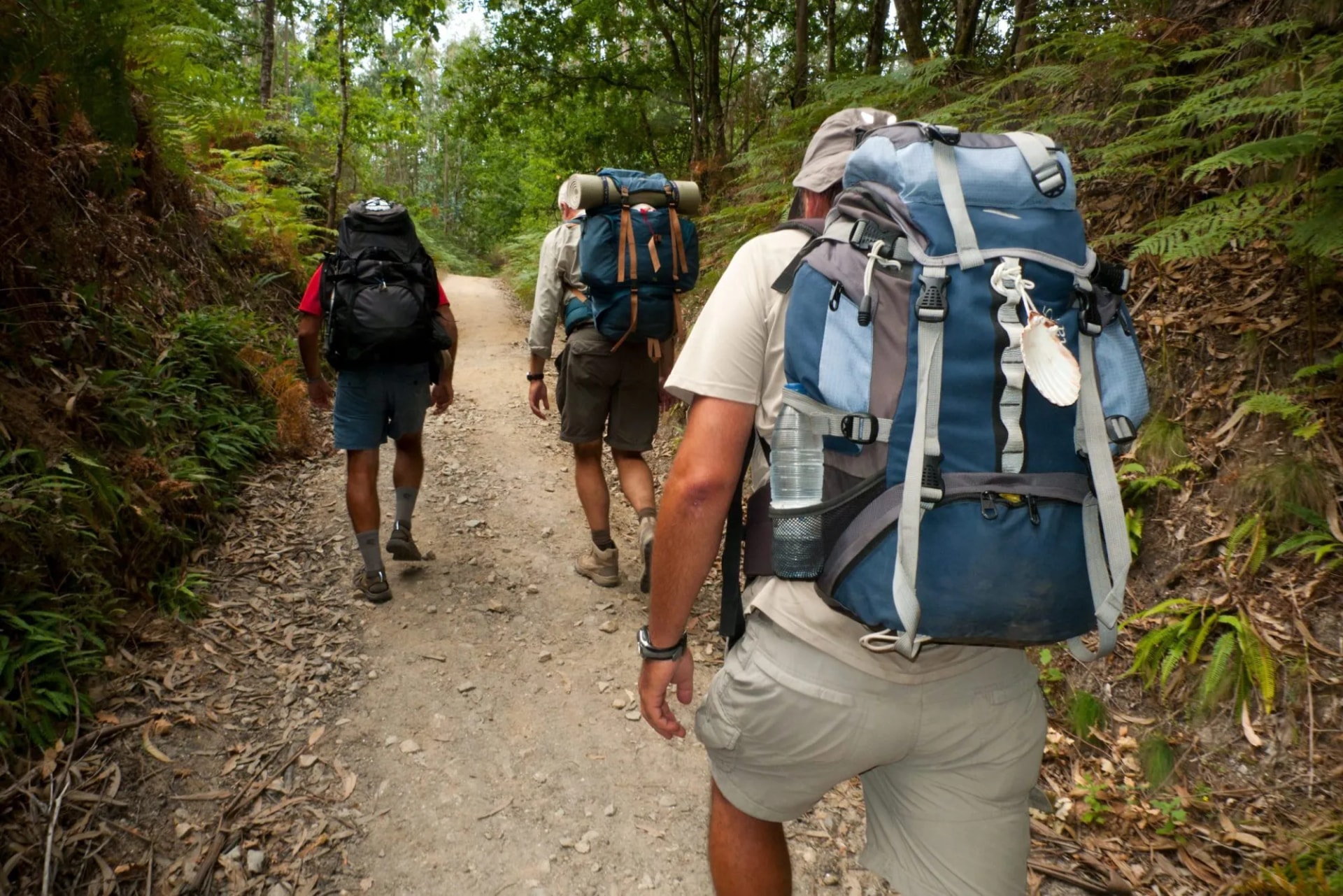 Pilgrims hiking on dirt path through dense green forest toward Negreira