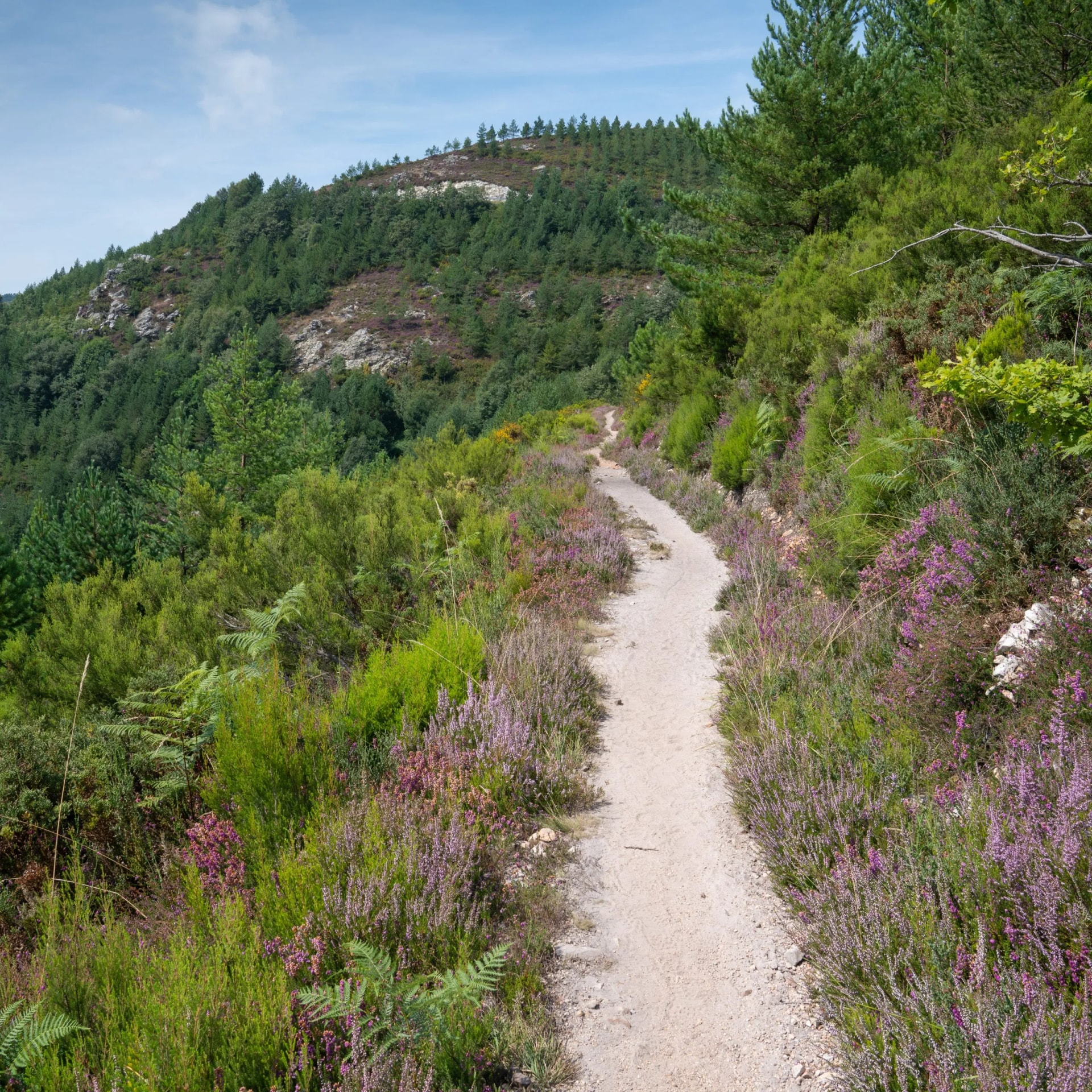 Camino Primitivo, Asturias, Spain