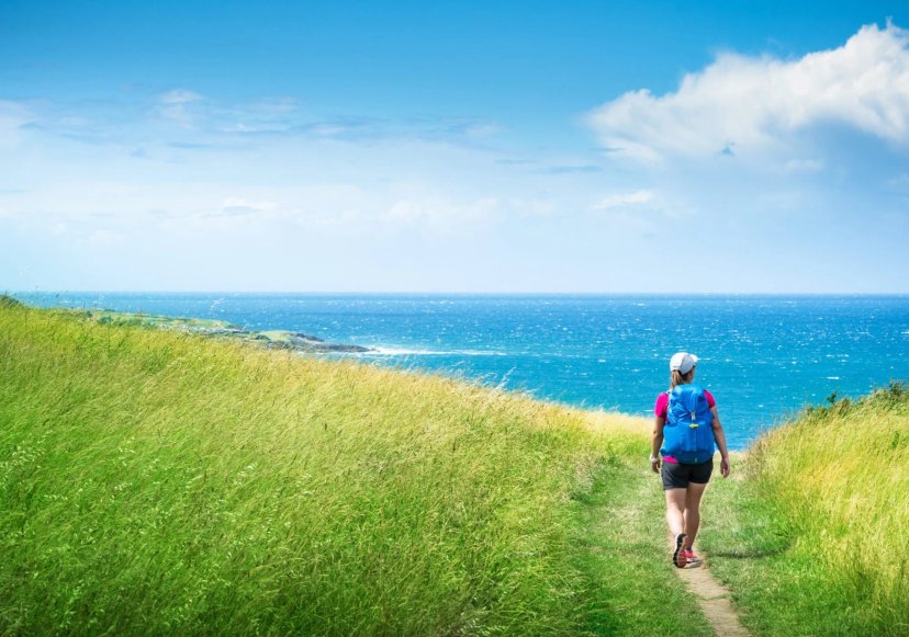Camino del Norte