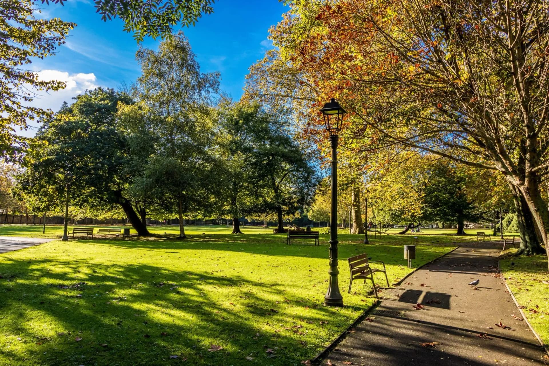 City Park of Aviles - Spain with autumn foliage in a sunny day. City park with ducks in the lake. Ferrera Park in Aviles, Spain