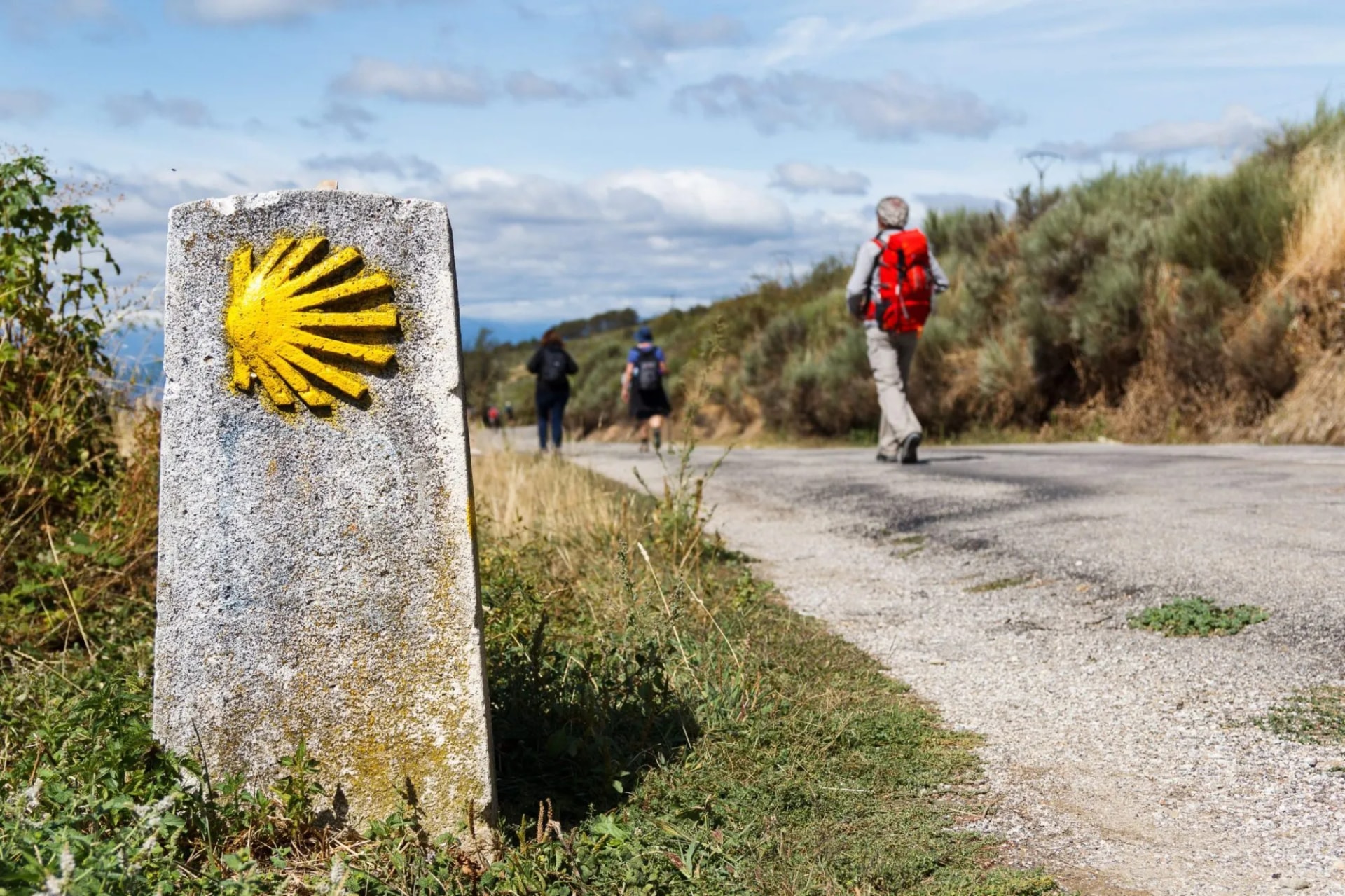 Camino Frances