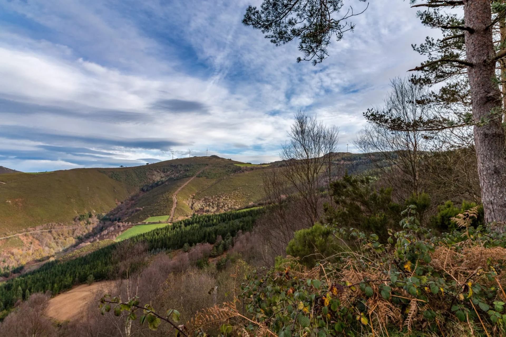 Camino Primitivo, Spain, World Heritage