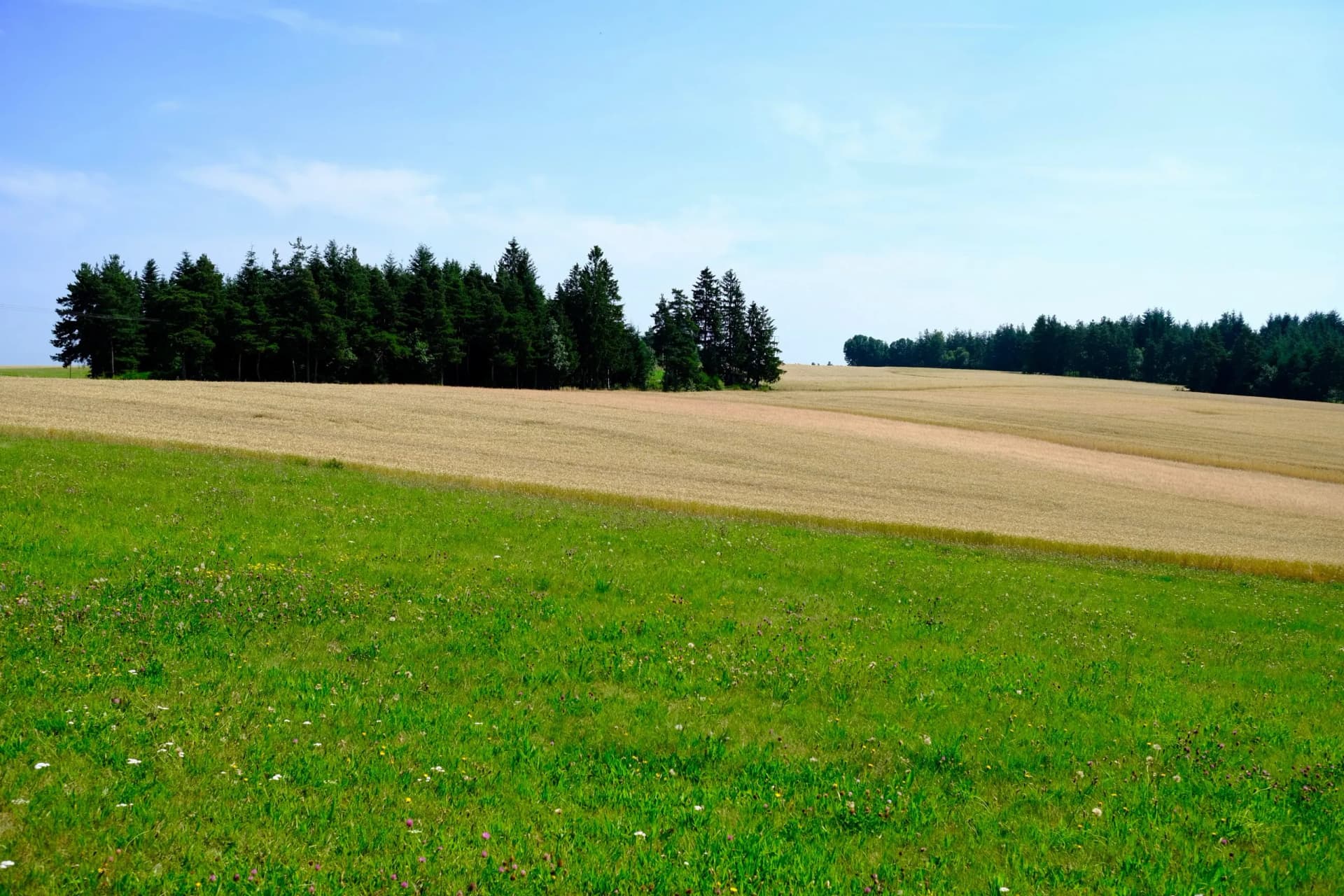 paysages campagne haute loire france région puy en velay