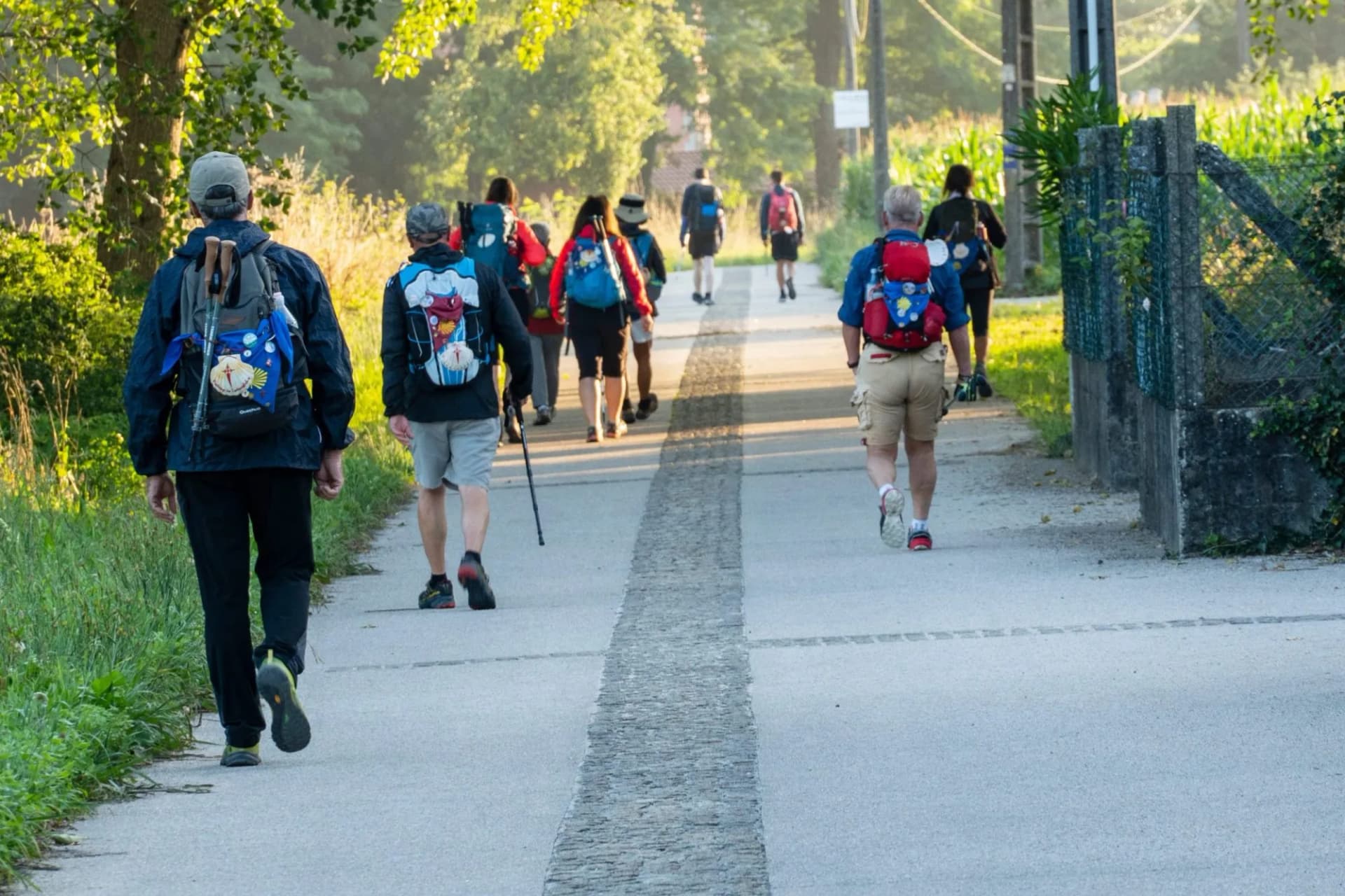 Hikers with backpacks walking on a paved path near green foliage, final kilometers before Santiago.