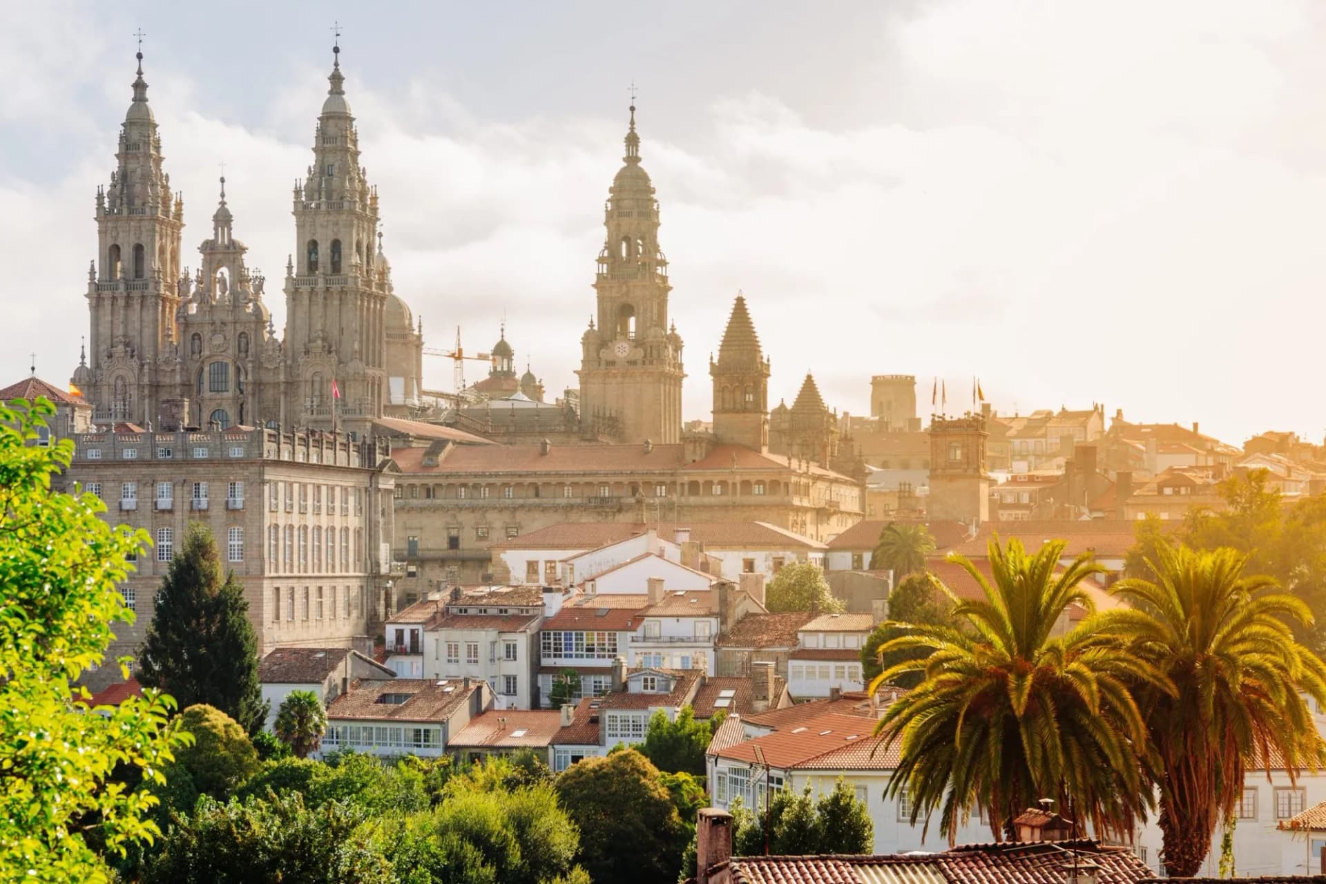 Cathedral at sunrise in Santiago de Compostela over red-tiled roofs and palm trees.