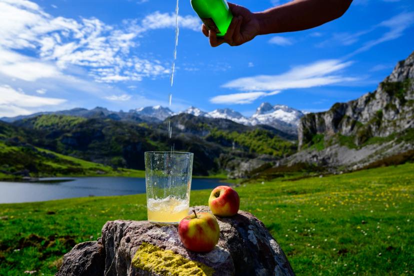 Pouring of natural Asturian cider made from fermented apples from green bottle and high height with view on Covadonga lake and tops of Picos de Europa mountains, Spain