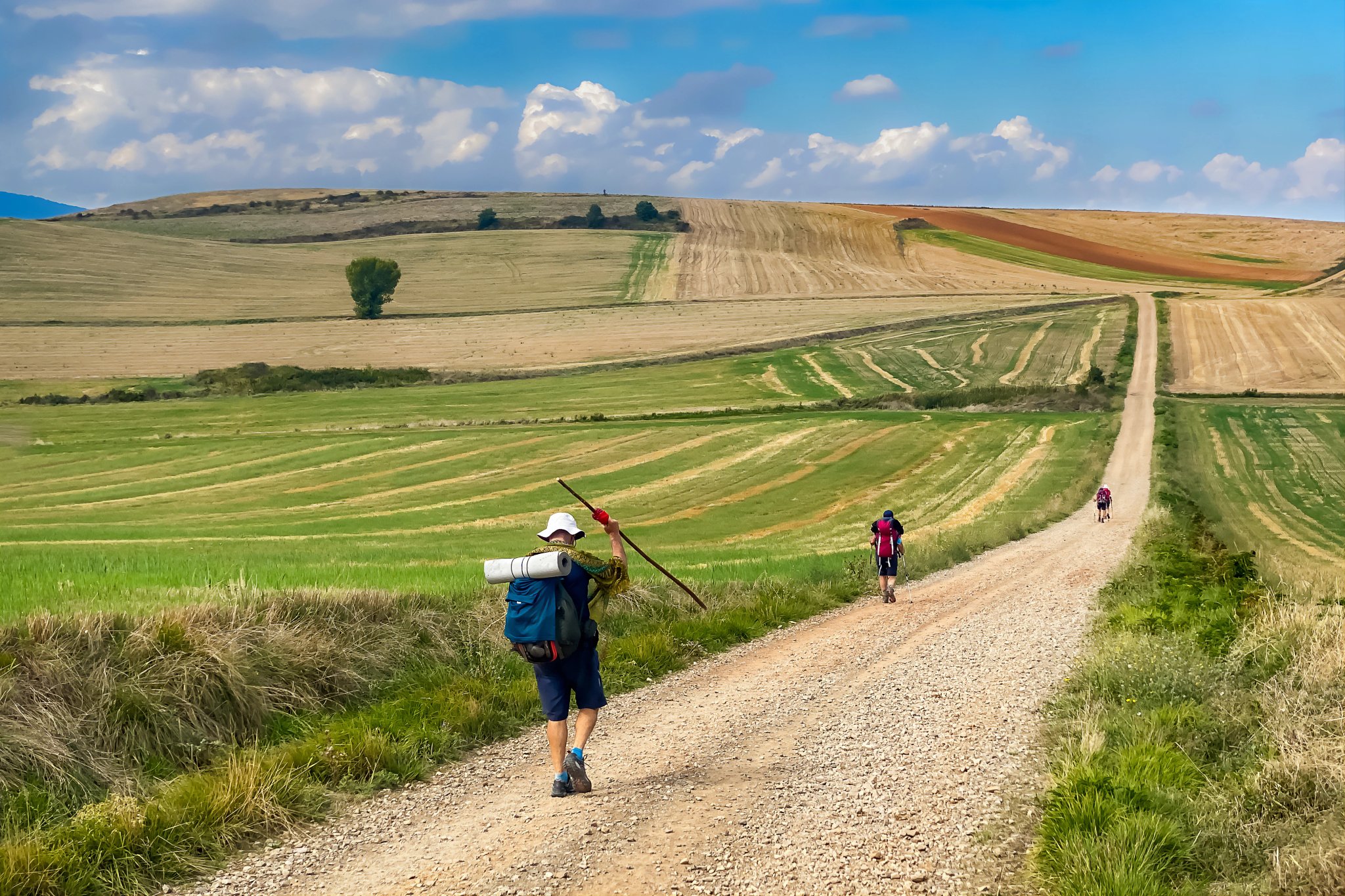 Pútnici kráčajúci malebnými krajinami polí a zvlnených kopcov regiónu La Rioja v Španielsku na ceste sv. Jakuba - Camino de Santiago