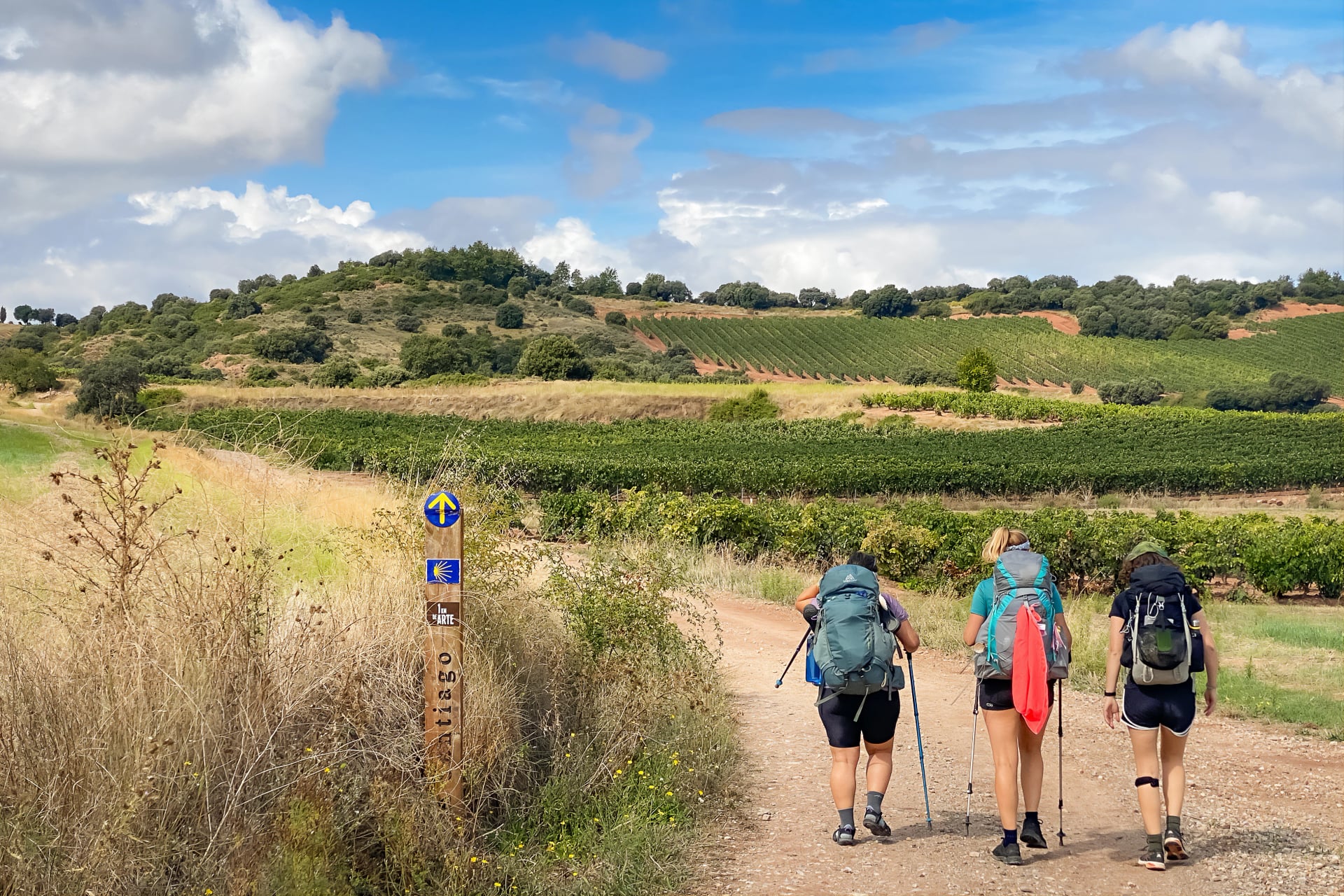 Pelgrims met wandeluitrusting die langs de wijngaarden van La Rioja lopen langs de Weg van St. Jacob pelgrimsroute Camino de Santiago