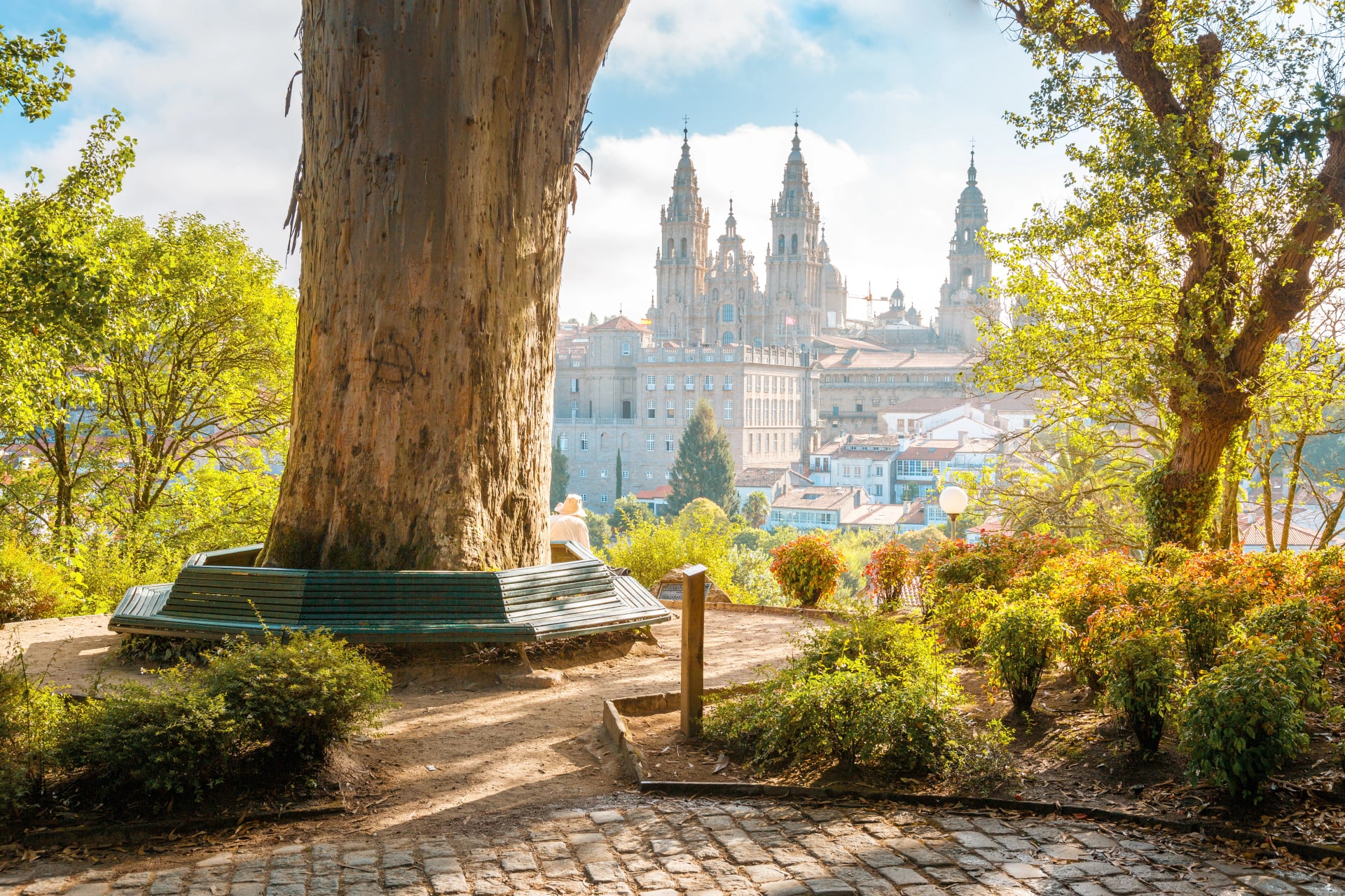 Catedral de Santiago de Compostela ao amanhecer, Galícia, Espanha