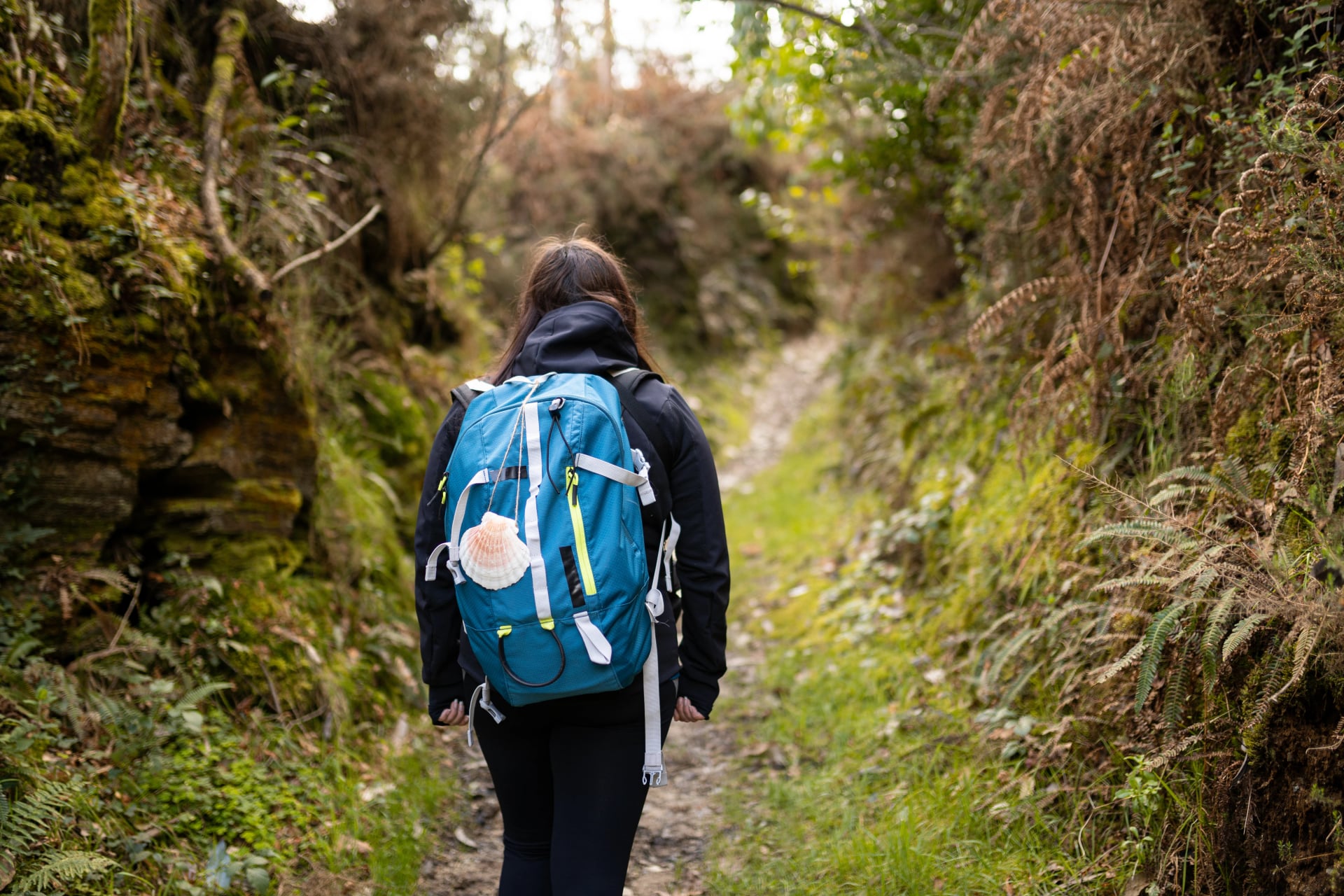 Peregrina morena, fazendo o Caminho de Santiago, em uma floresta, com uma mochila azul e uma concha, com uma jaqueta preta. Conceito de estilo de vida. Caminhada, caminho de são tiago