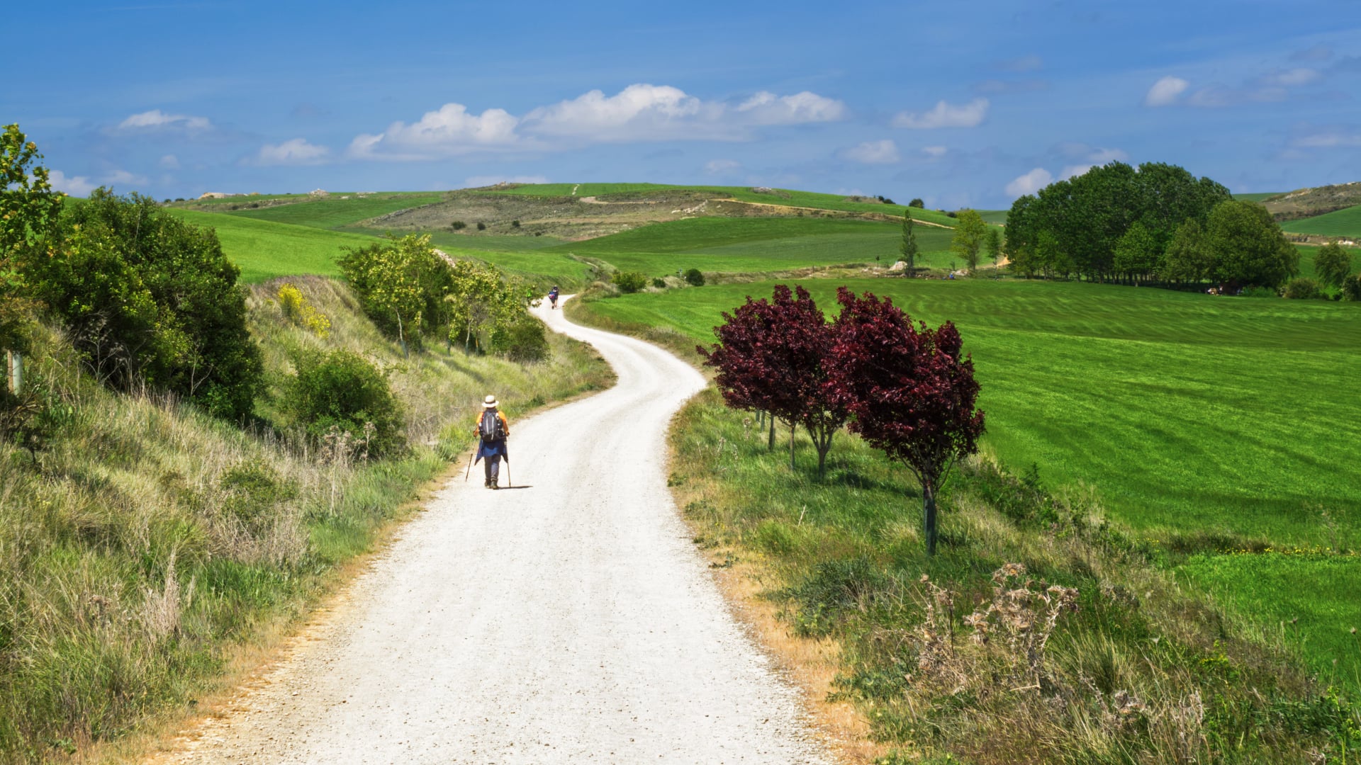 Peregrinos caminhando ao longo do caminho para Santiago, caminho de São Tiago, Espanha
