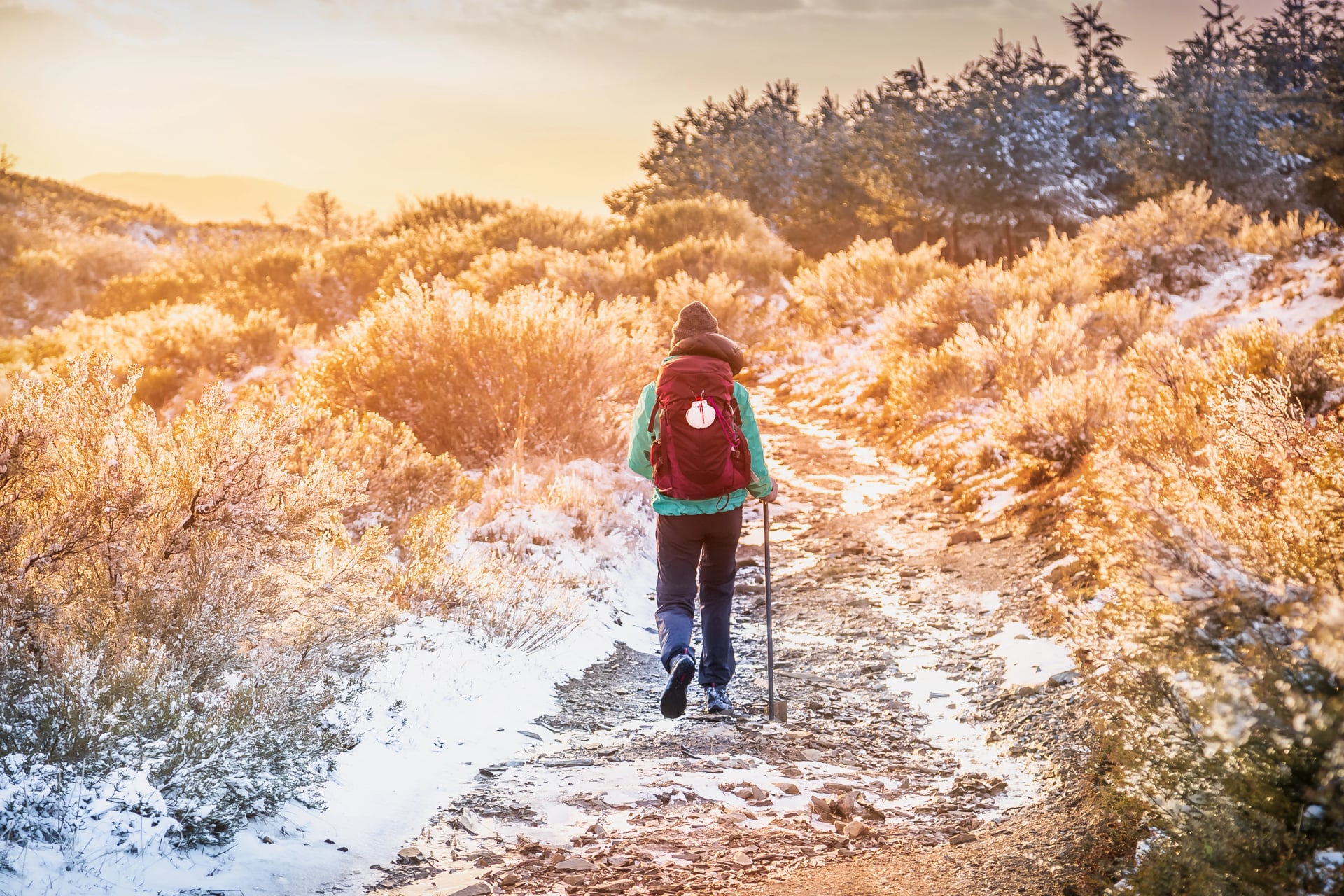 Caminhante peregrina menina na neve, floresta de montanha no inverno, à noite no Caminho do Peregrino de Santiago, fora de El Acebo ao pôr do sol
