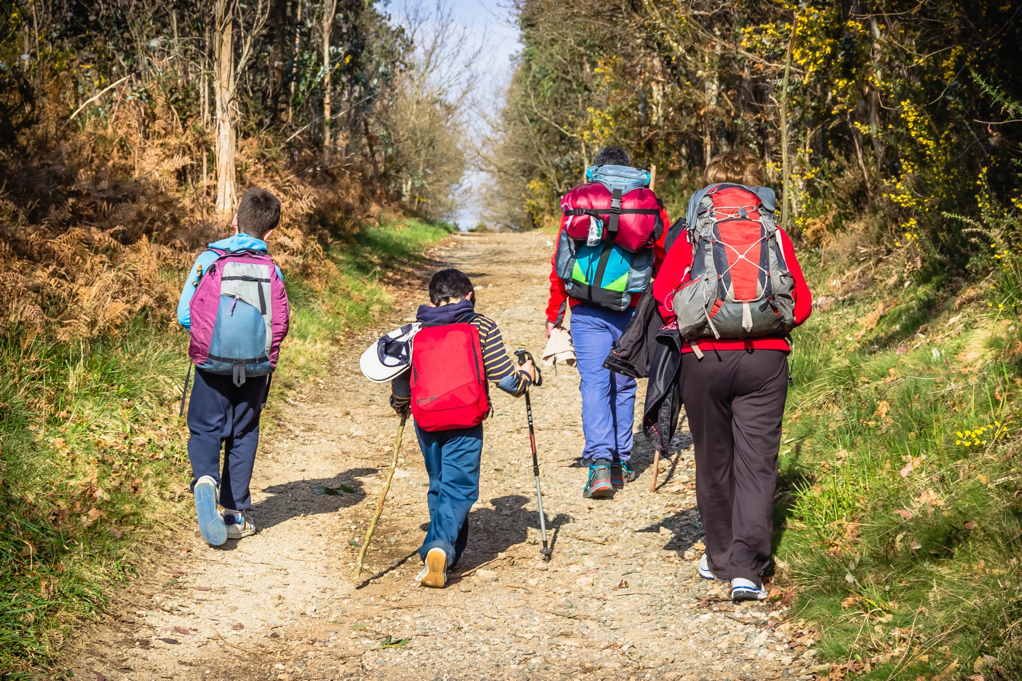 Rodzina dorośli i dzieci pielgrzymi wędrujący z plecakami wzdłuż szlaku pielgrzymkowego Drogi św. Jakuba - Camino de Santiago