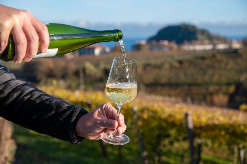 Pouring of txakoli or chacolí slightly sparkling very dry white wine produced in Spanish Basque Country on vineyards in Getaria in autumn, Spain