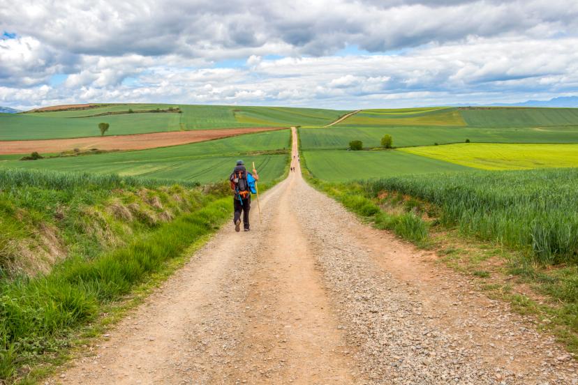 Rear view of a male pilgrim on an unpaved country road on the Way of St. James, Camino de Santiago between Ciruena and Santo Domingo de la Calzada in La Rioja, Spain under a beautiful overcast May sky
