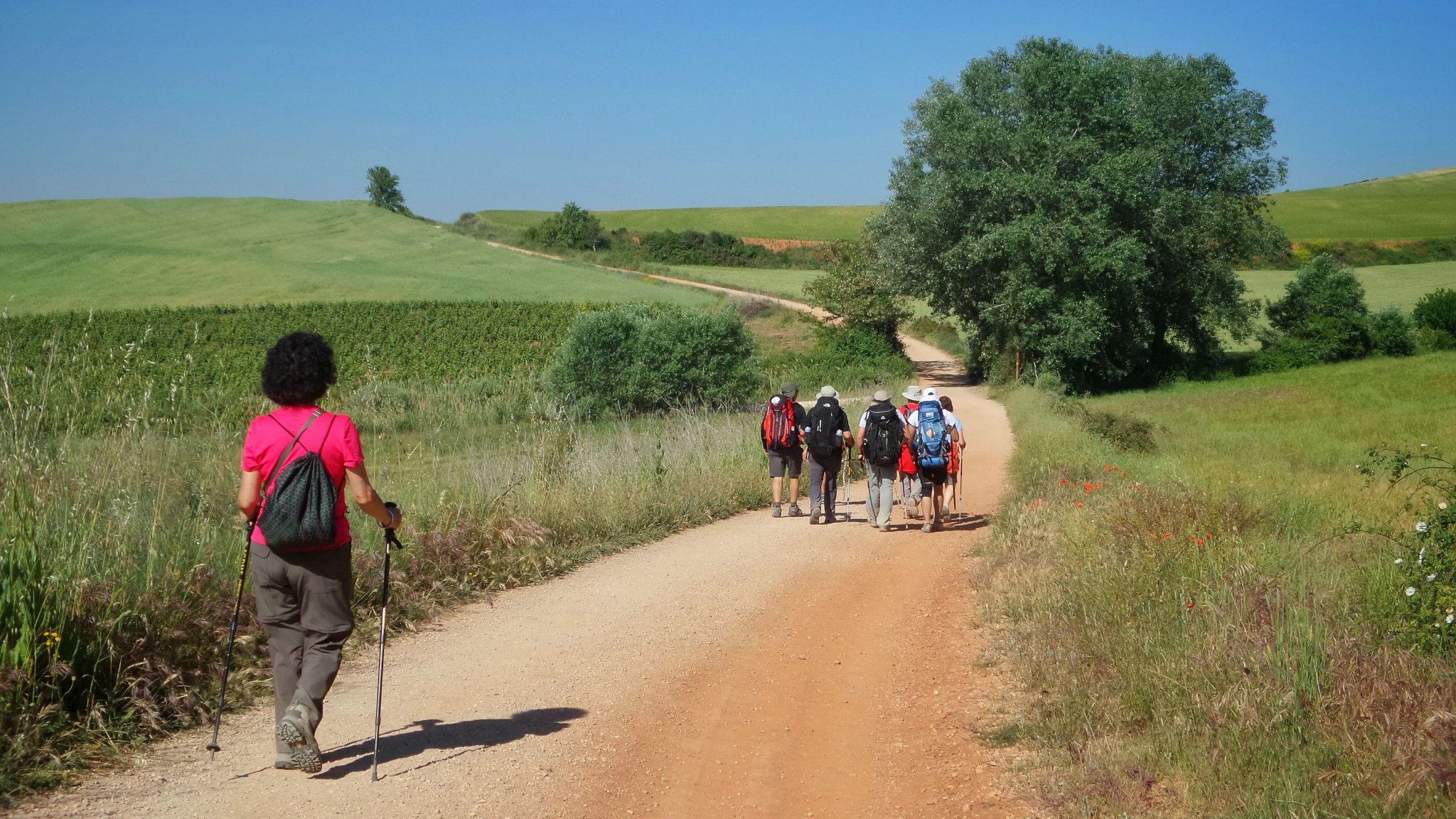 Skupina pútnikov kráčajúcich po Camino de Santiago v Španielsku