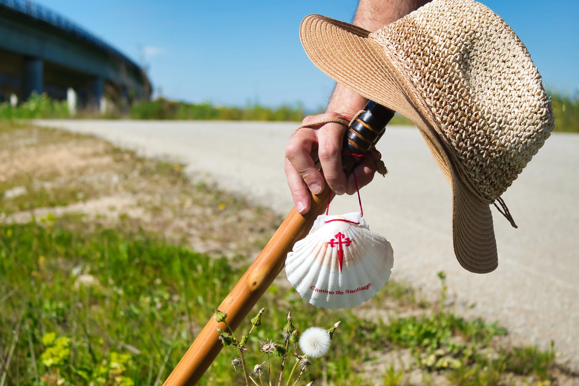 Detail einer Hand eines Pilgers auf dem Weg nach Santiago, die die Muschel hält, die sich auf den Gehstock lehnt.