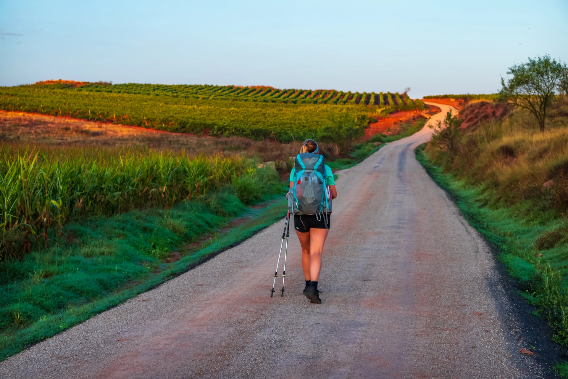 Pilgerinnen, die bei Sonnenaufgang auf dem Jakobsweg durch malerische Landschaften von La Rioja gehen