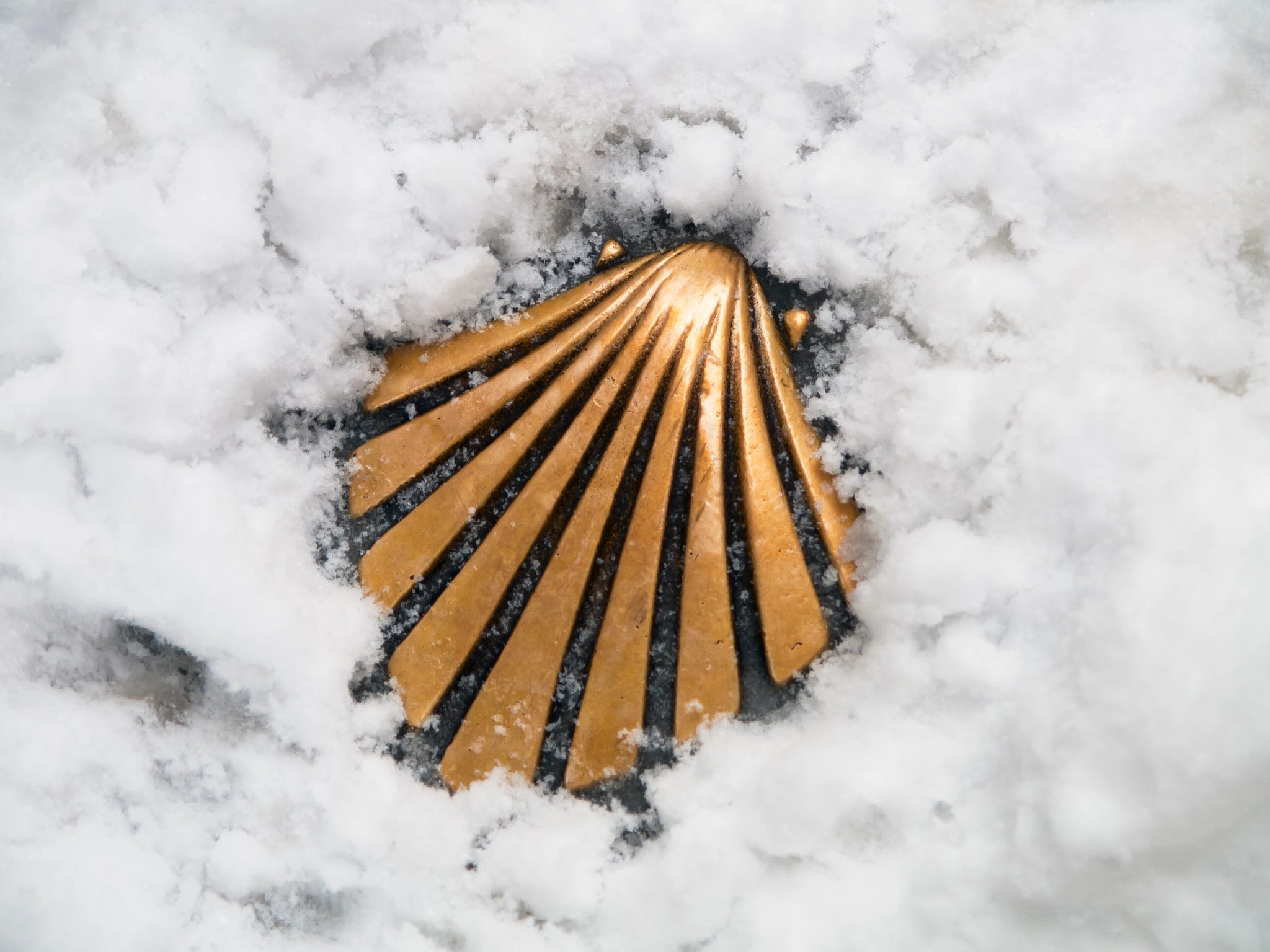 concha del camino de santiago nevada