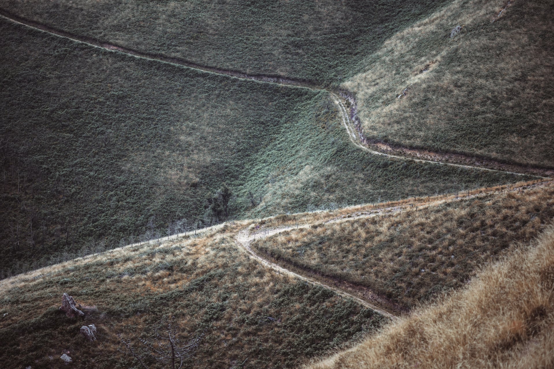 Telefoto-Winteransicht von gewundenen Hügelpfaden, die durch strukturiertes Gras und Gestrüpp in Asturien führen und organische geometrische Linien und eine raue, abgelegene Landschaft des Camino de Santiago bilden