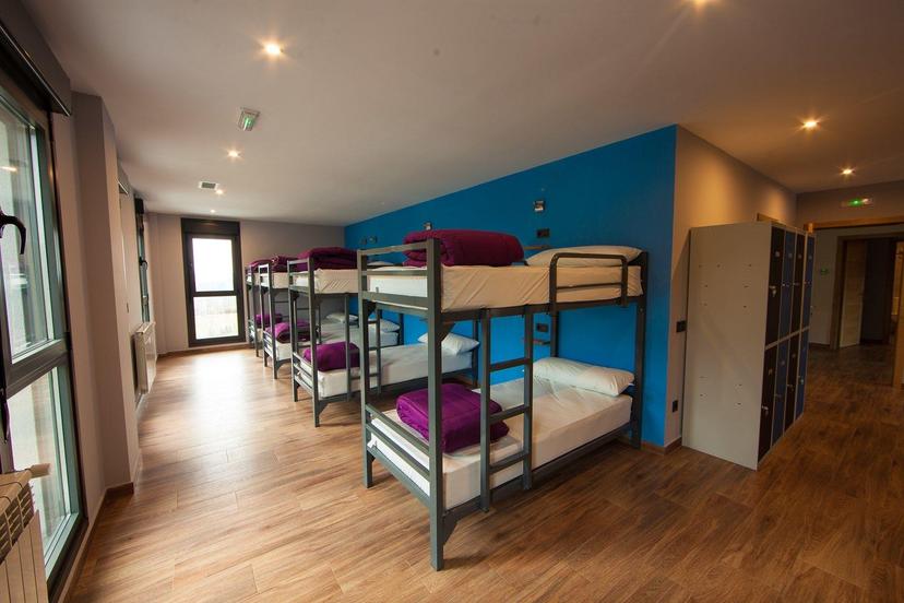 Hostel dormitory room with metal bunk beds, wood floor, and bright blue accent wall.