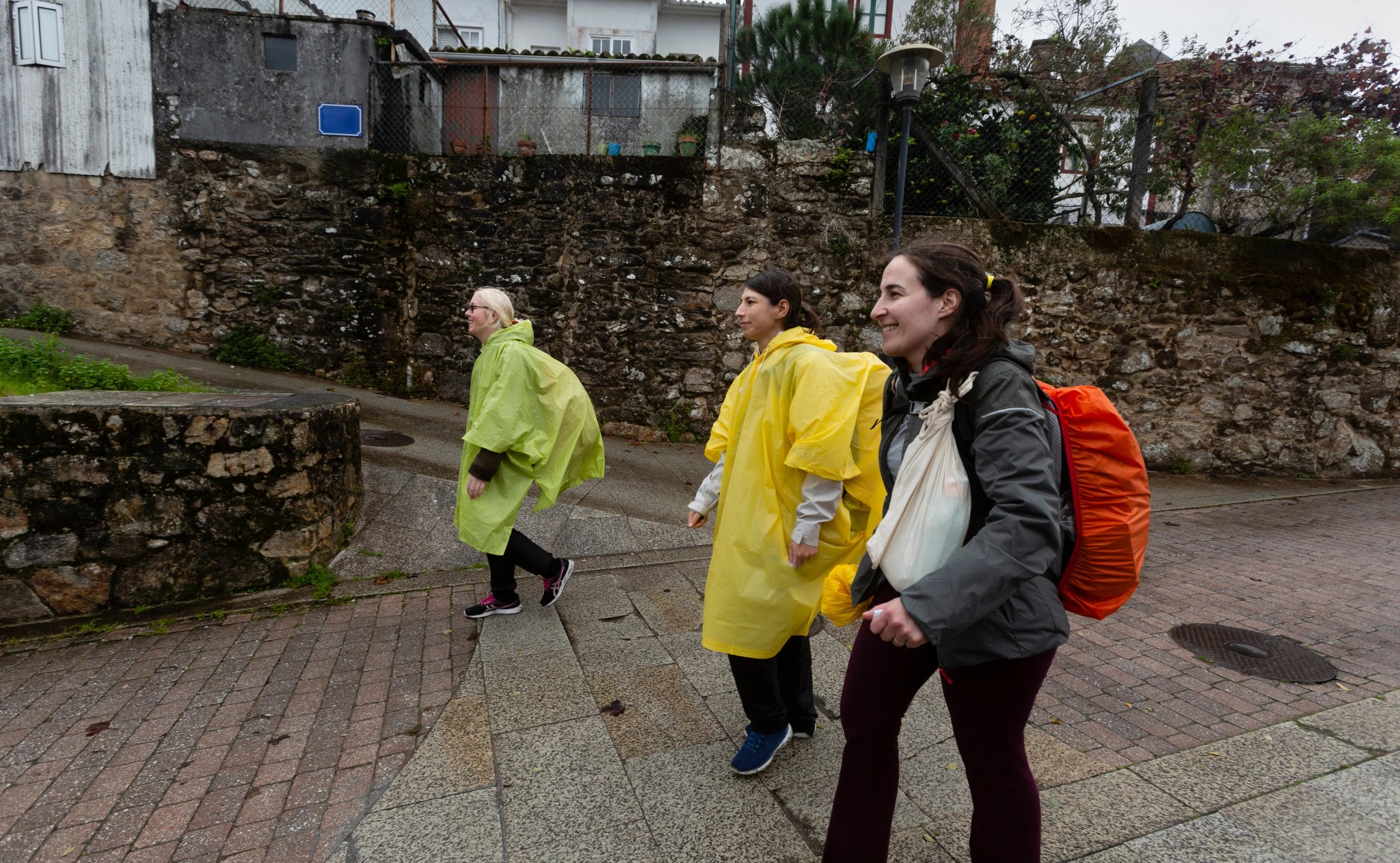 Three pilgrims show their pilgrim credentials. Camino de Santiago portuguese