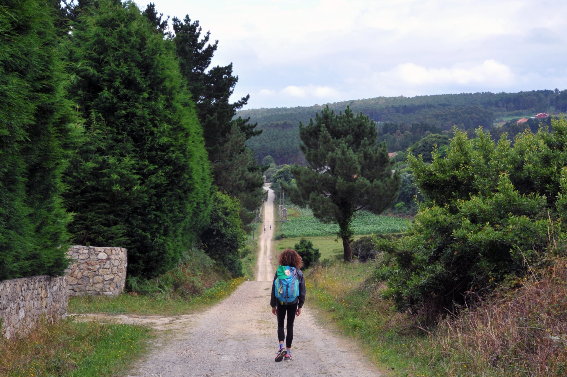 CAMINO DE SANTIAGO, Pilger mit Rucksäcken, die den Camino de Santiago, camino portugues, gehen