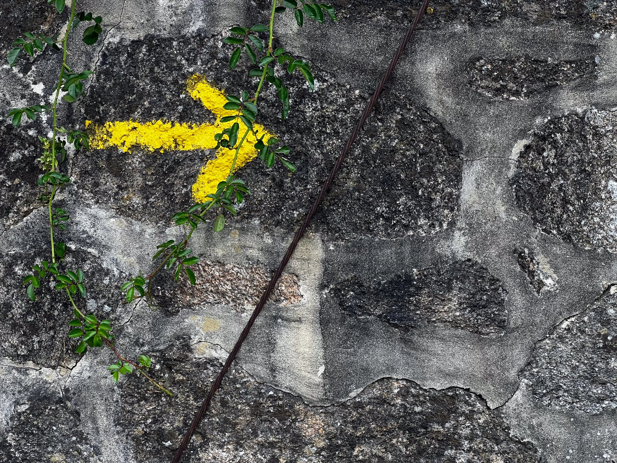 żółta strzałka pokazująca kierunek pielgrzymki do Santiago w Portugalii na Camino de Santiago, droga do Santiago, pielgrzymka chrześcijańska
