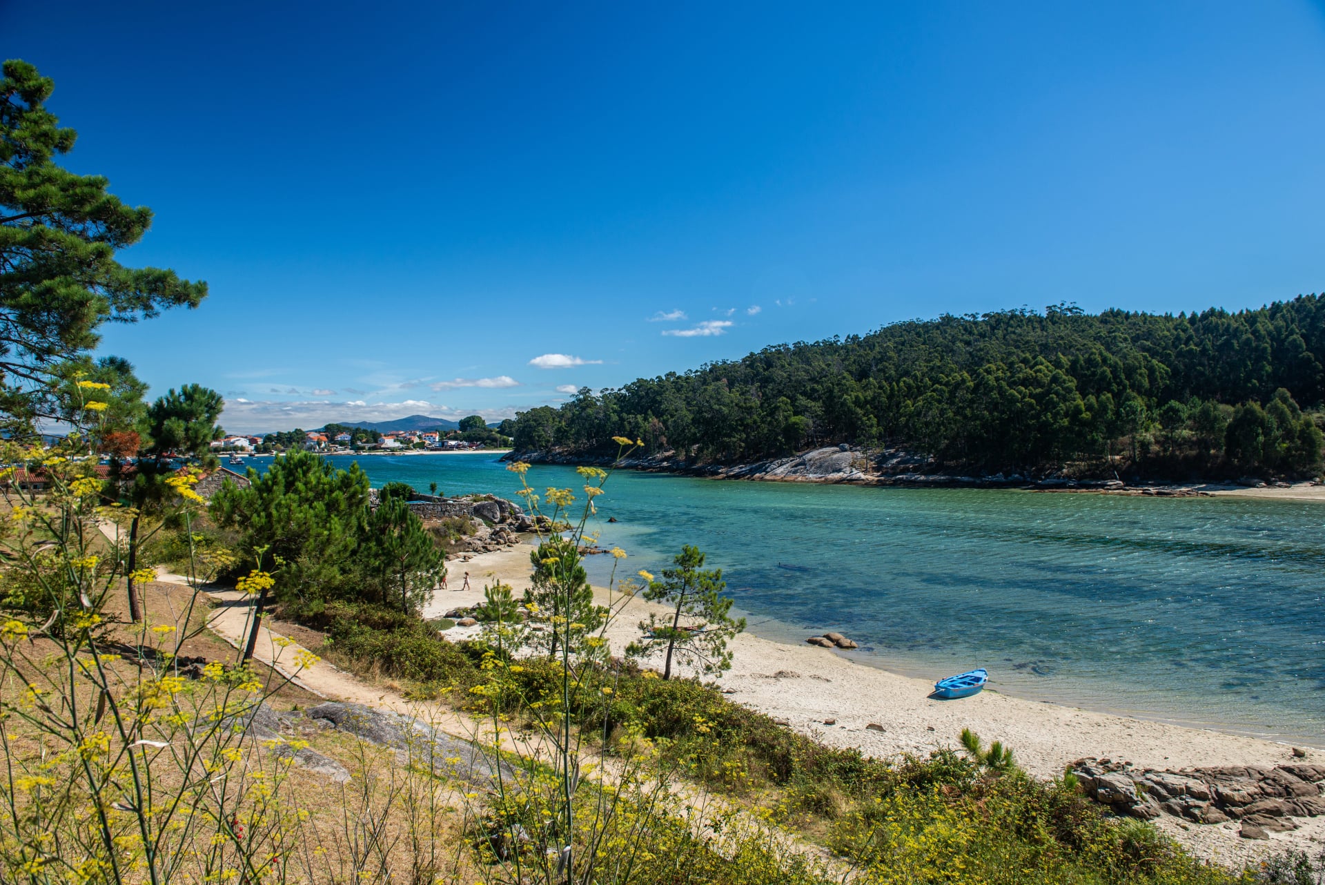 wie ein Pilger, der den Camino Portugués nach Santiago de Compostela geht