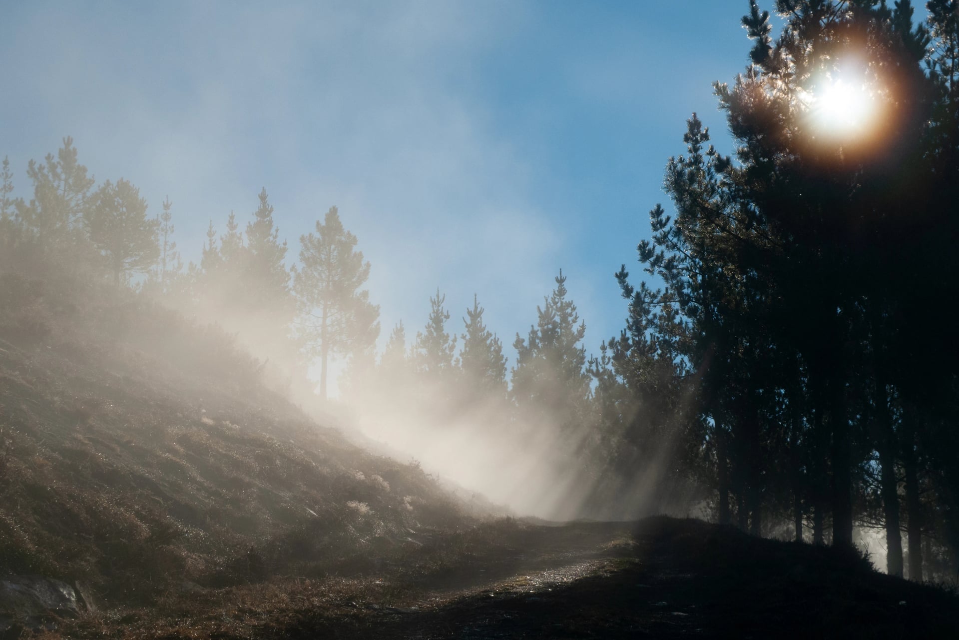 Brume à contre-jour sur le chemin de descente vers le réservoir asturien de Grandas de Salime, sur le Camino de Santiago Primitivo.