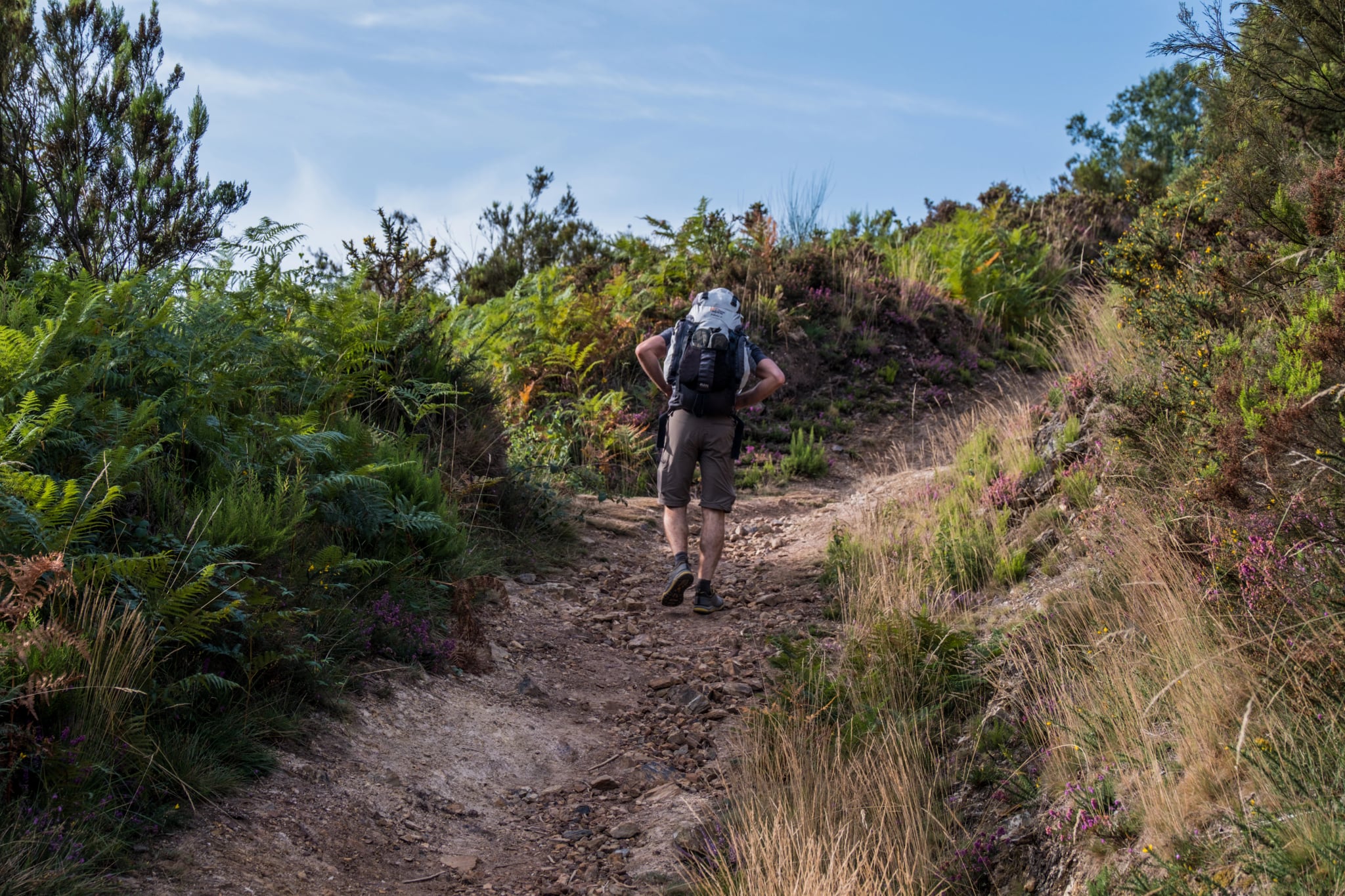 Ein Tag im Sommer auf dem ältesten Camino de Santiago in Spanien, dem