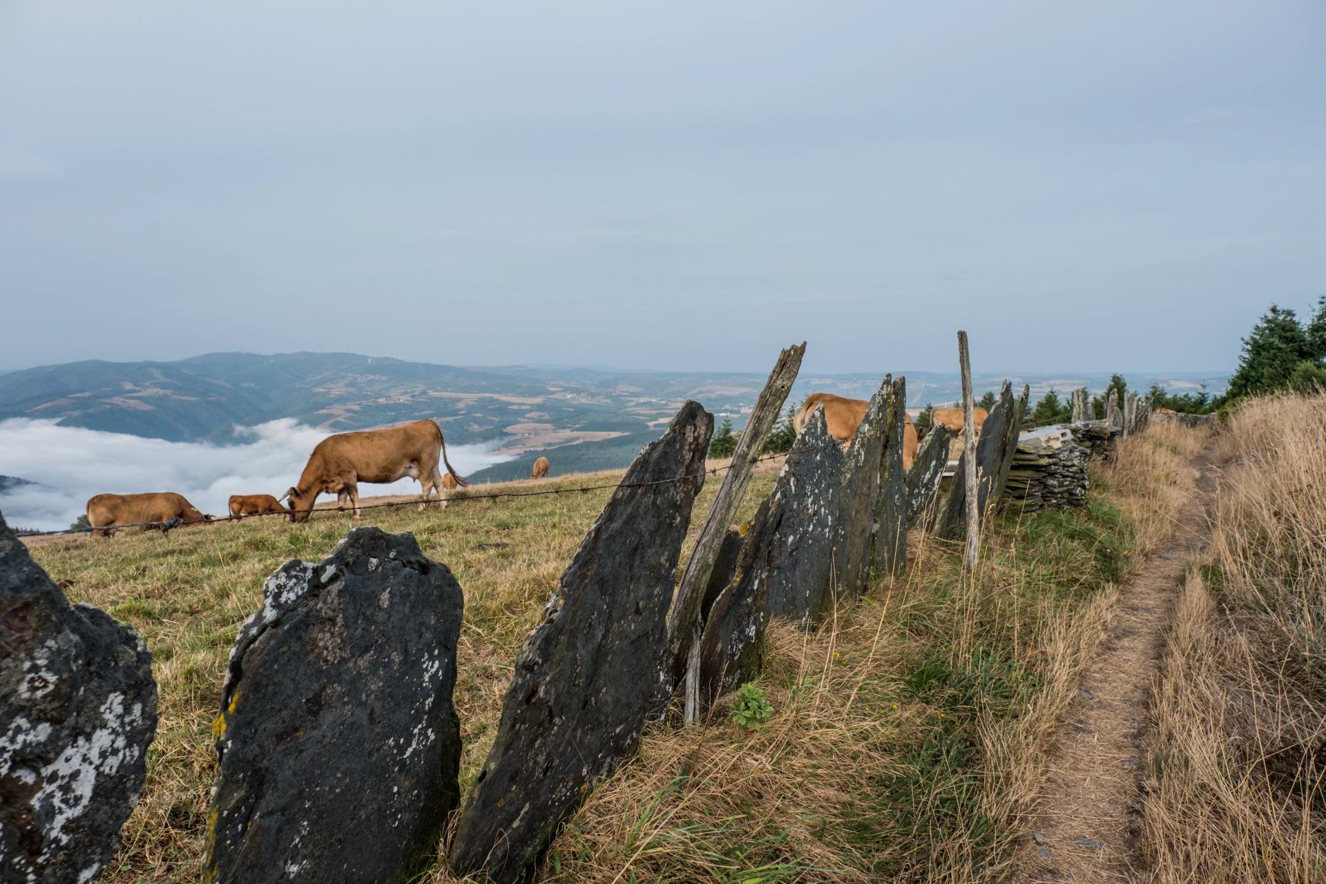 Une journée d'été sur le plus ancien Camino de Santiago en Espagne, le