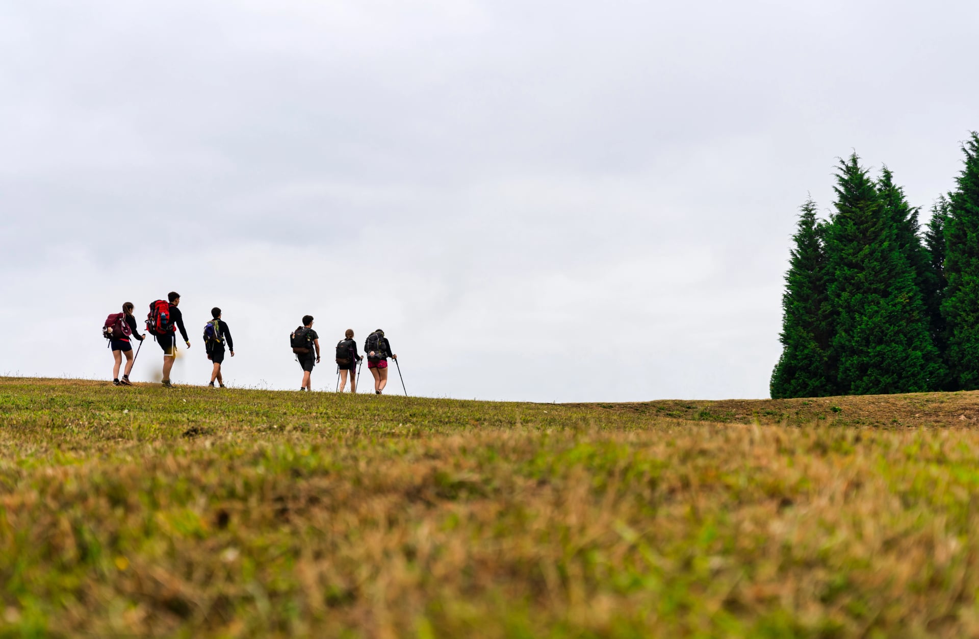 peregrino caminhando no caminho para Santiago de Compostela em um dia nublado na Galícia.
